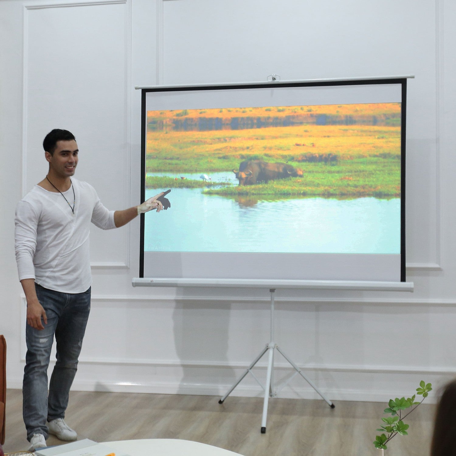 84"" stativ projektorskärm, 4:3 justerbar för hem och kontor