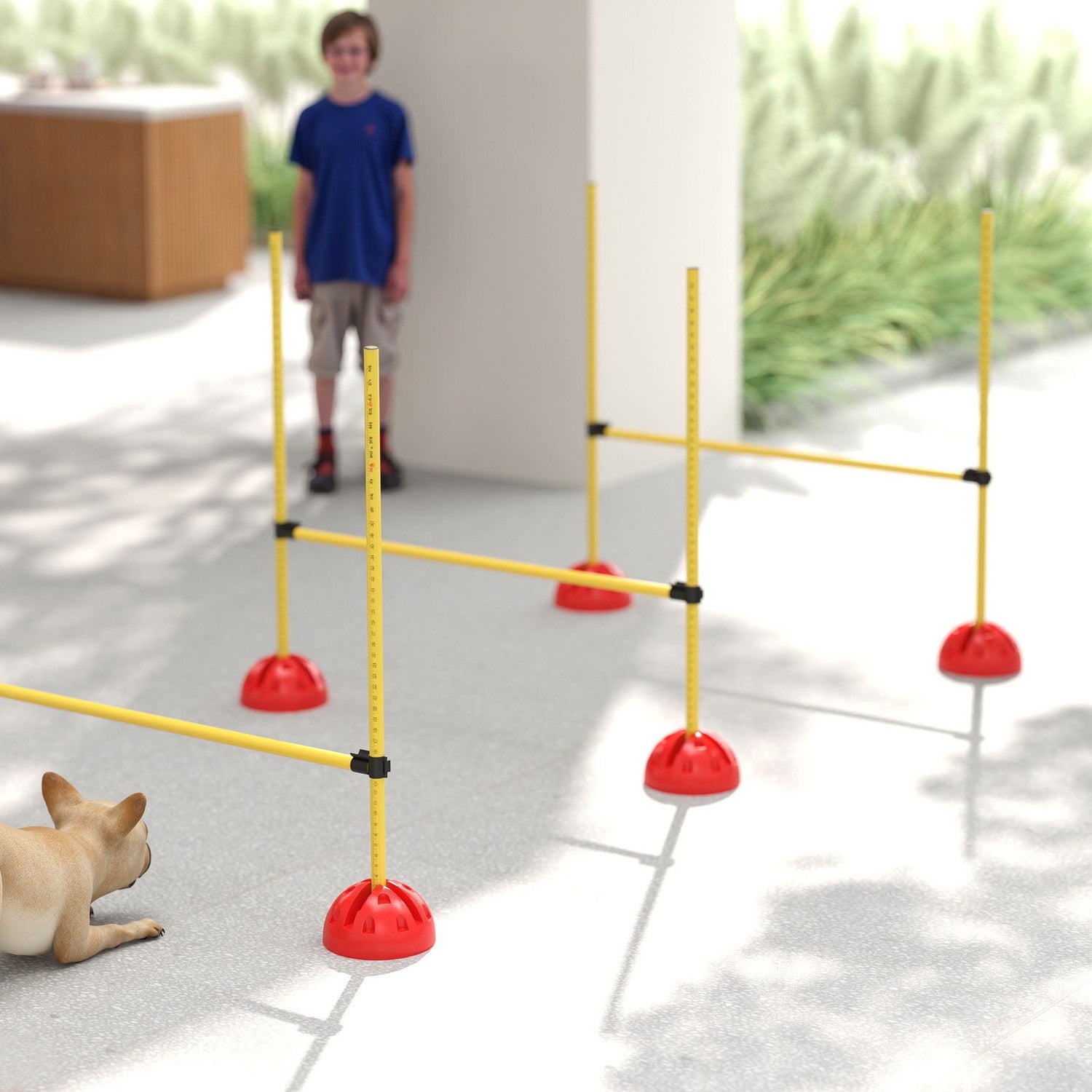 Hund Agility Utrustningsset, 5-delat med justerbara hinder