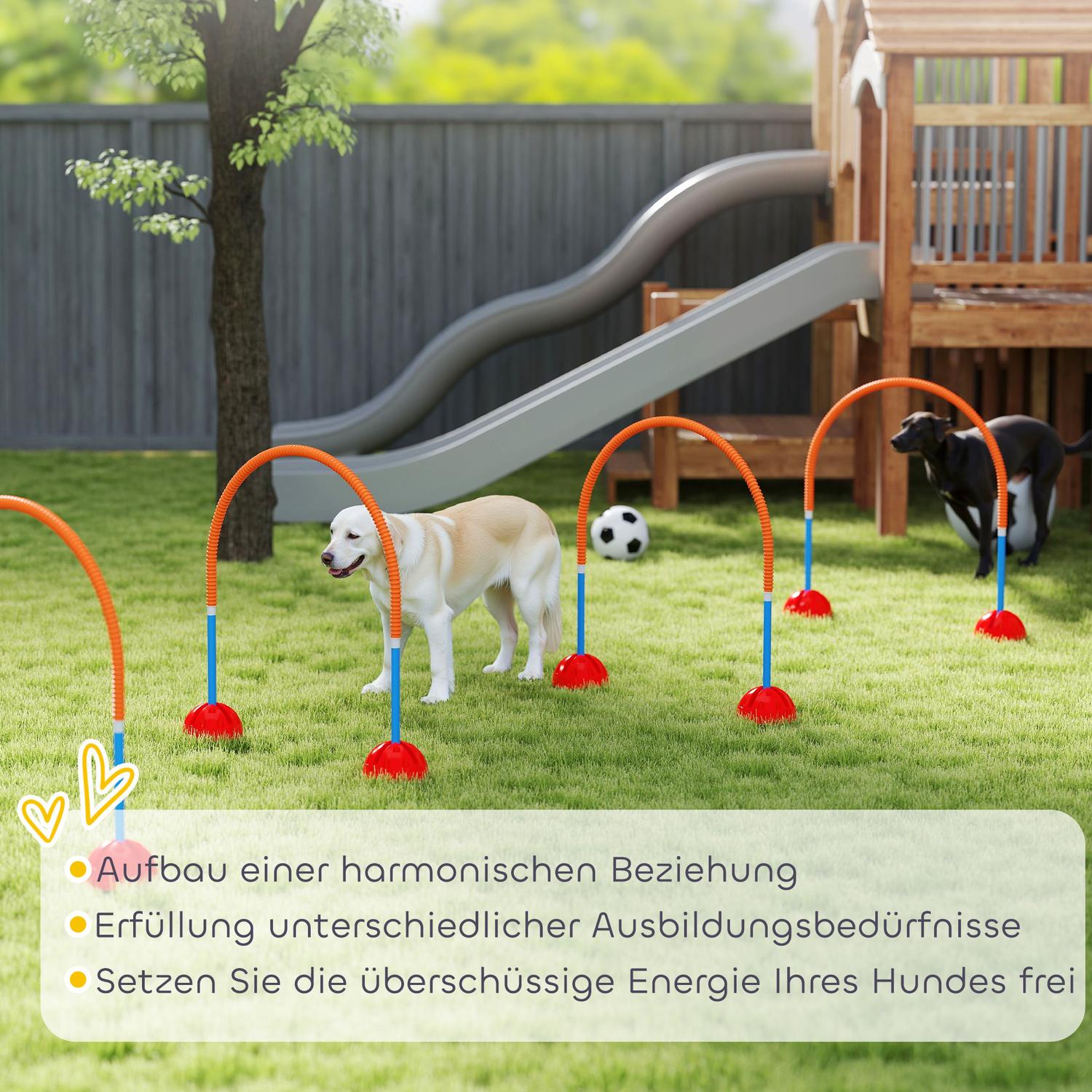 Dog Agility Set – 5-delat justerbart träningspaket