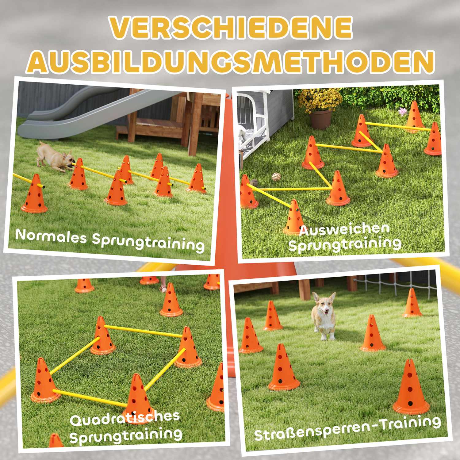 Hund Agility Training Set – 6 justerbara hinder, 12 kottar