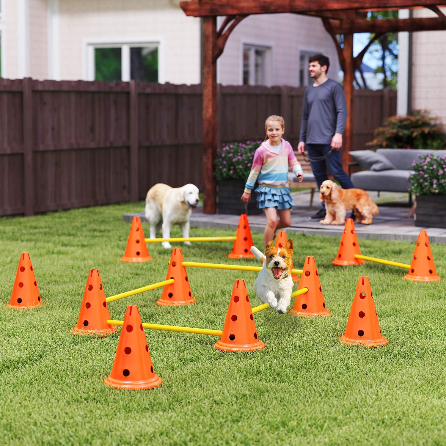 Hund Agility Training Set – 6 justerbara hinder, 12 kottar