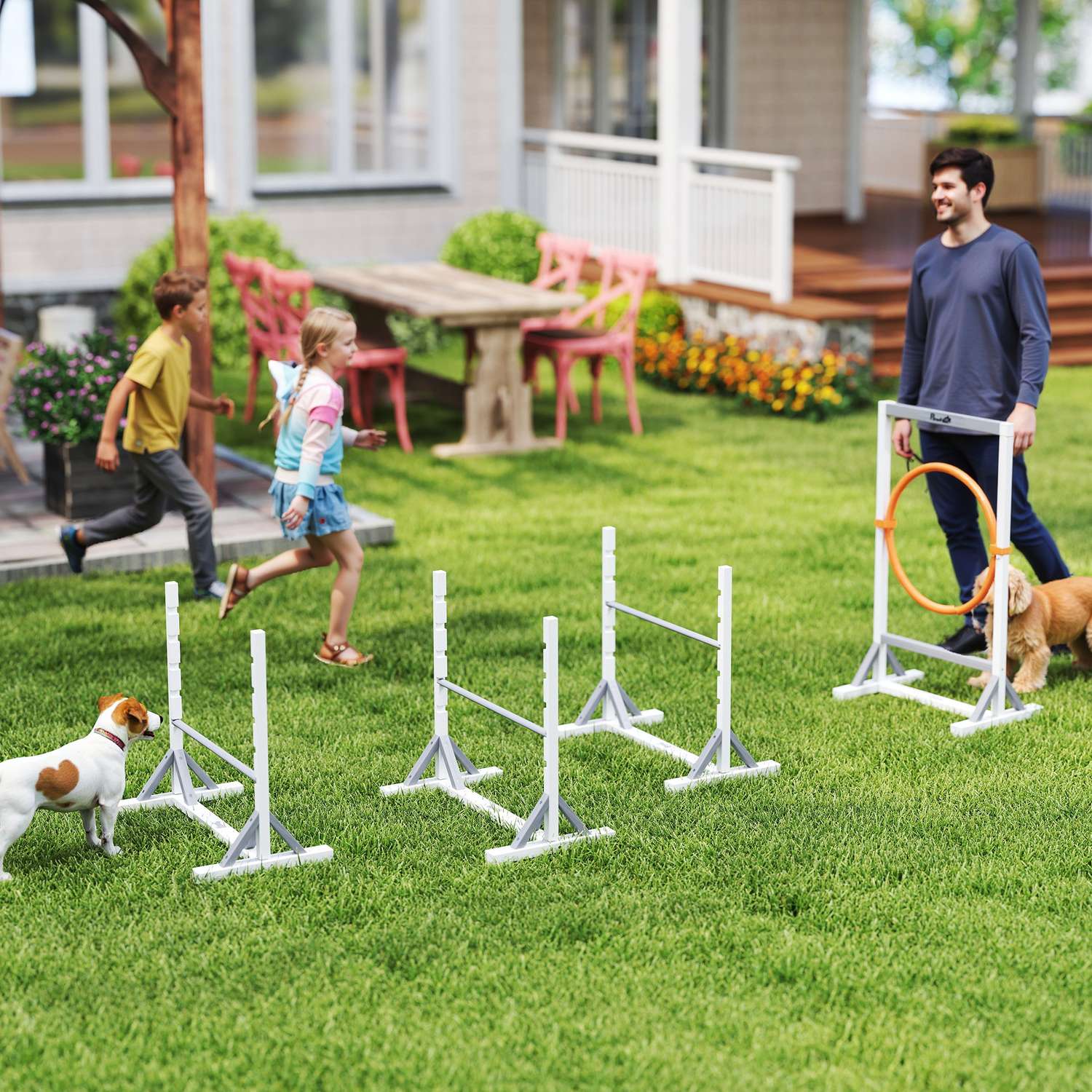 Dog Agility Set – 4-delade, höjdjusterbara häckar