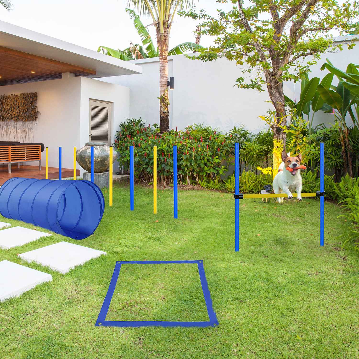 Hund Agility Training Set – Tunnel, Slalom, Häck