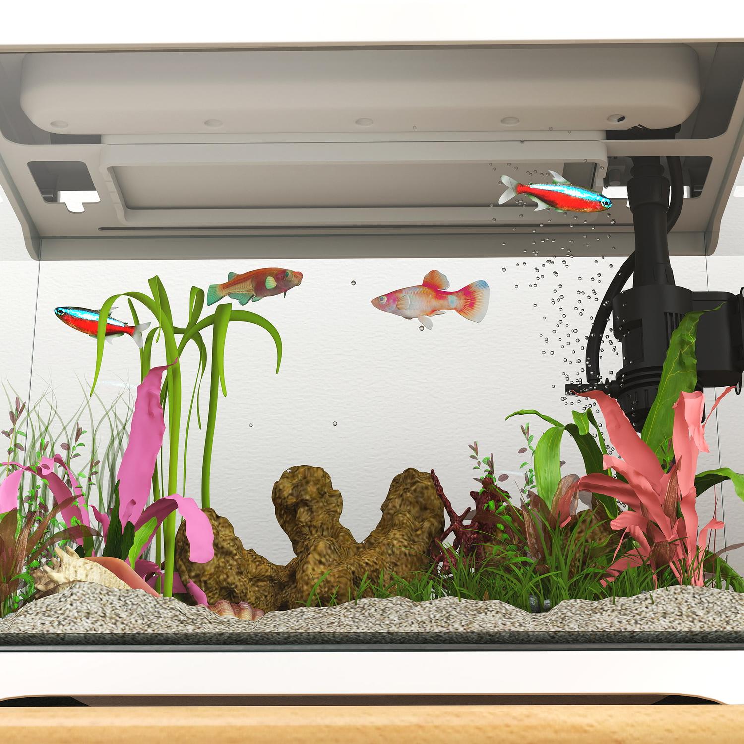 Tropical Fish Tank med LED, Filter & Pump, 17L Vit