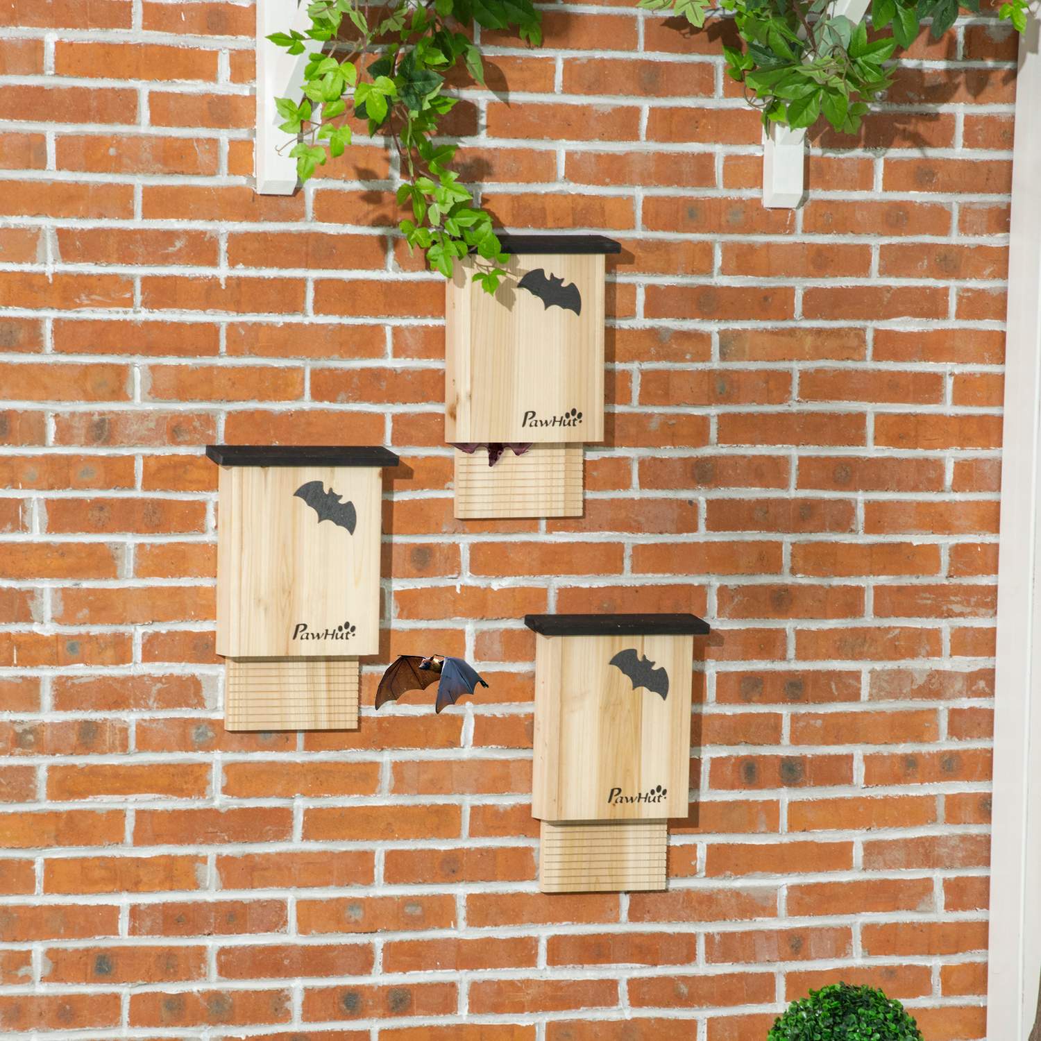 Bat House Set om 3 – Natural Gran, All Season Use