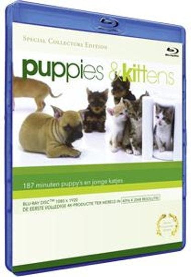 Blu-Ray valpar och kattungar