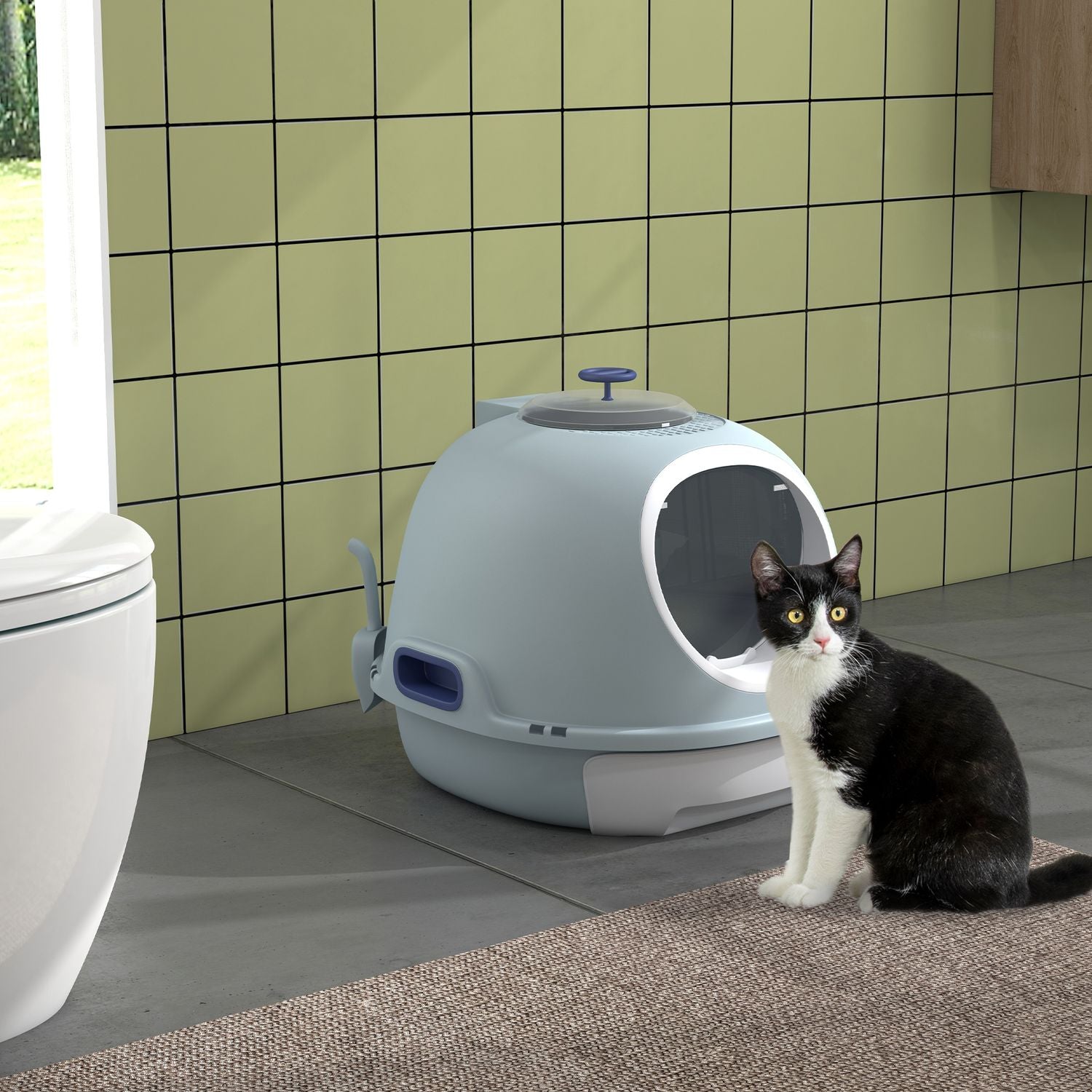 Bärbar kattsandlåda, takfönster och skopa, sjöblå