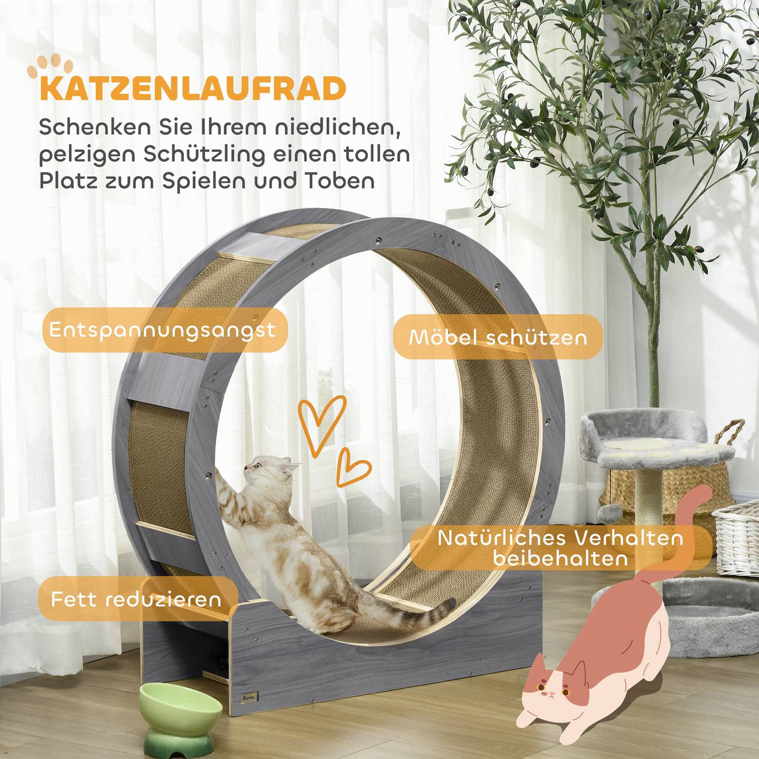 Cat Motionscykel med broms & skrapbräda, grå