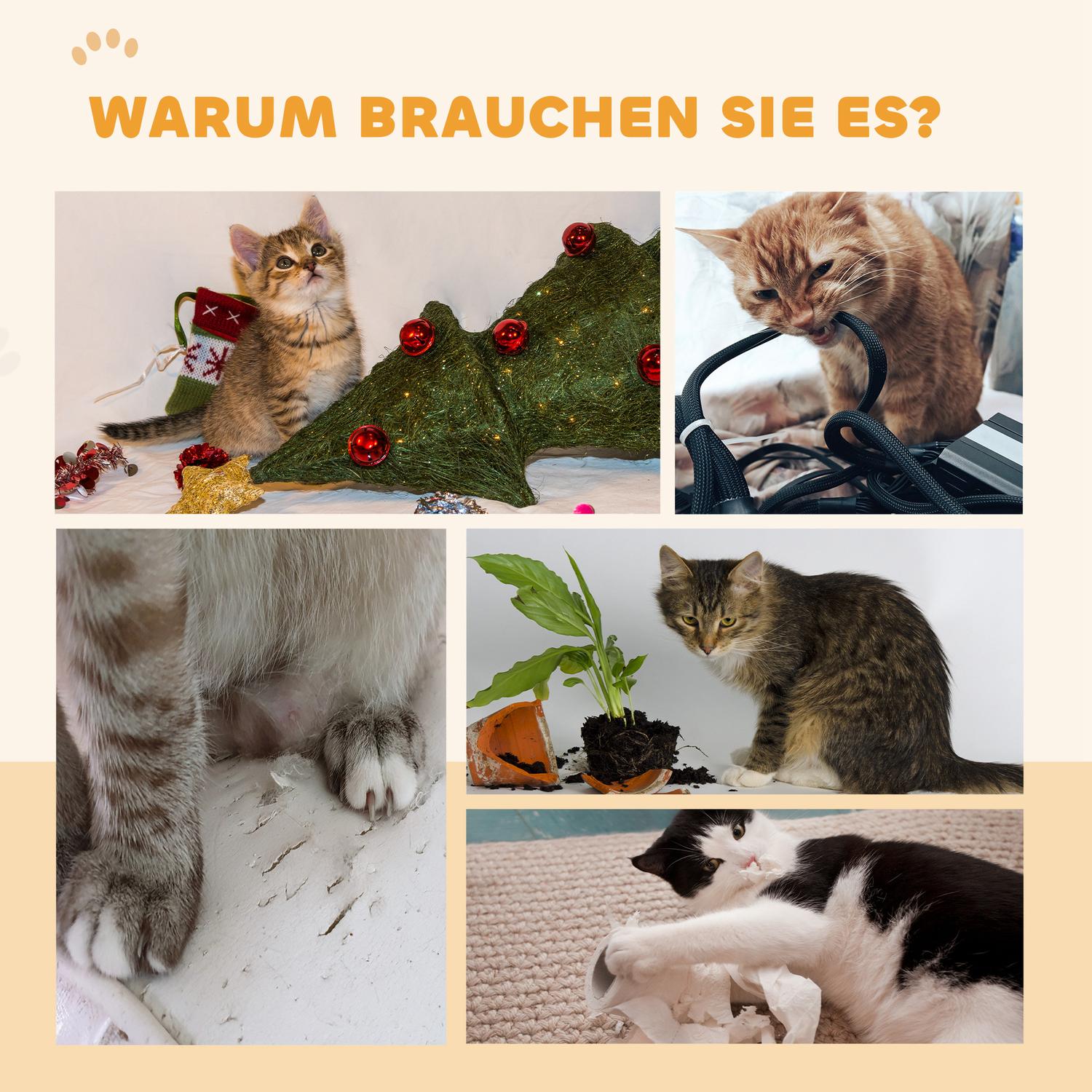 Cat träningshjul med broms och skrapbräda