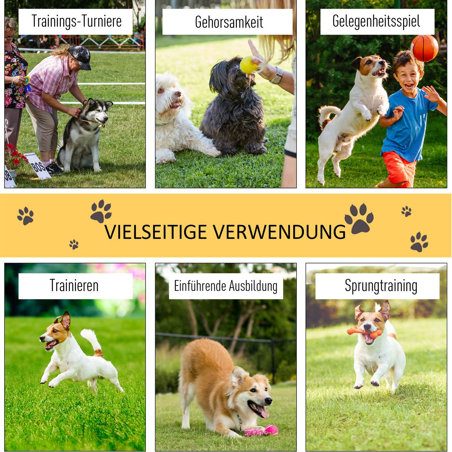 Dog Agility Hinderbana – Justerbart gult häckset