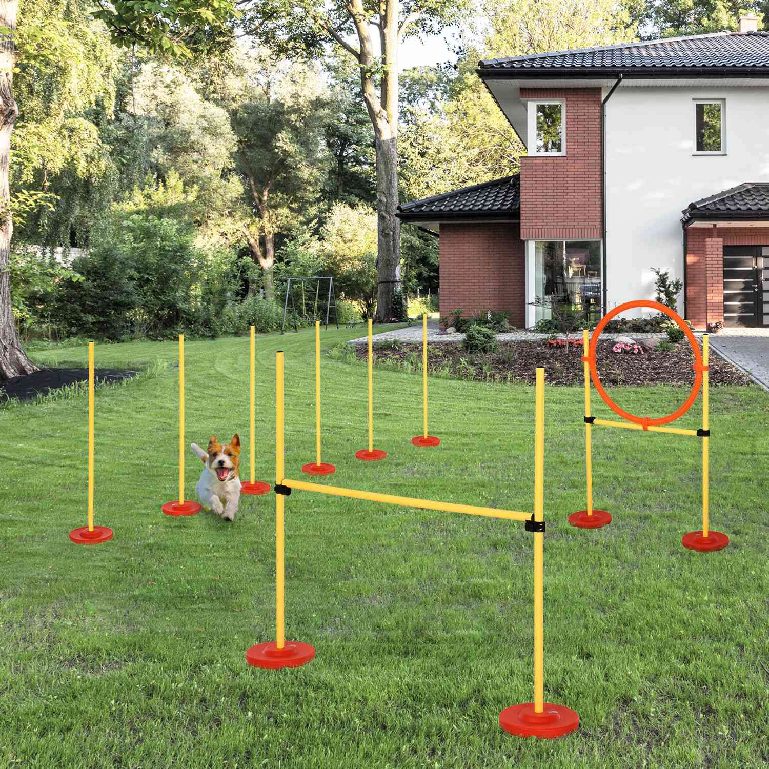 Dog Agility häckset, 3-i-1 träning, bärbar, gul