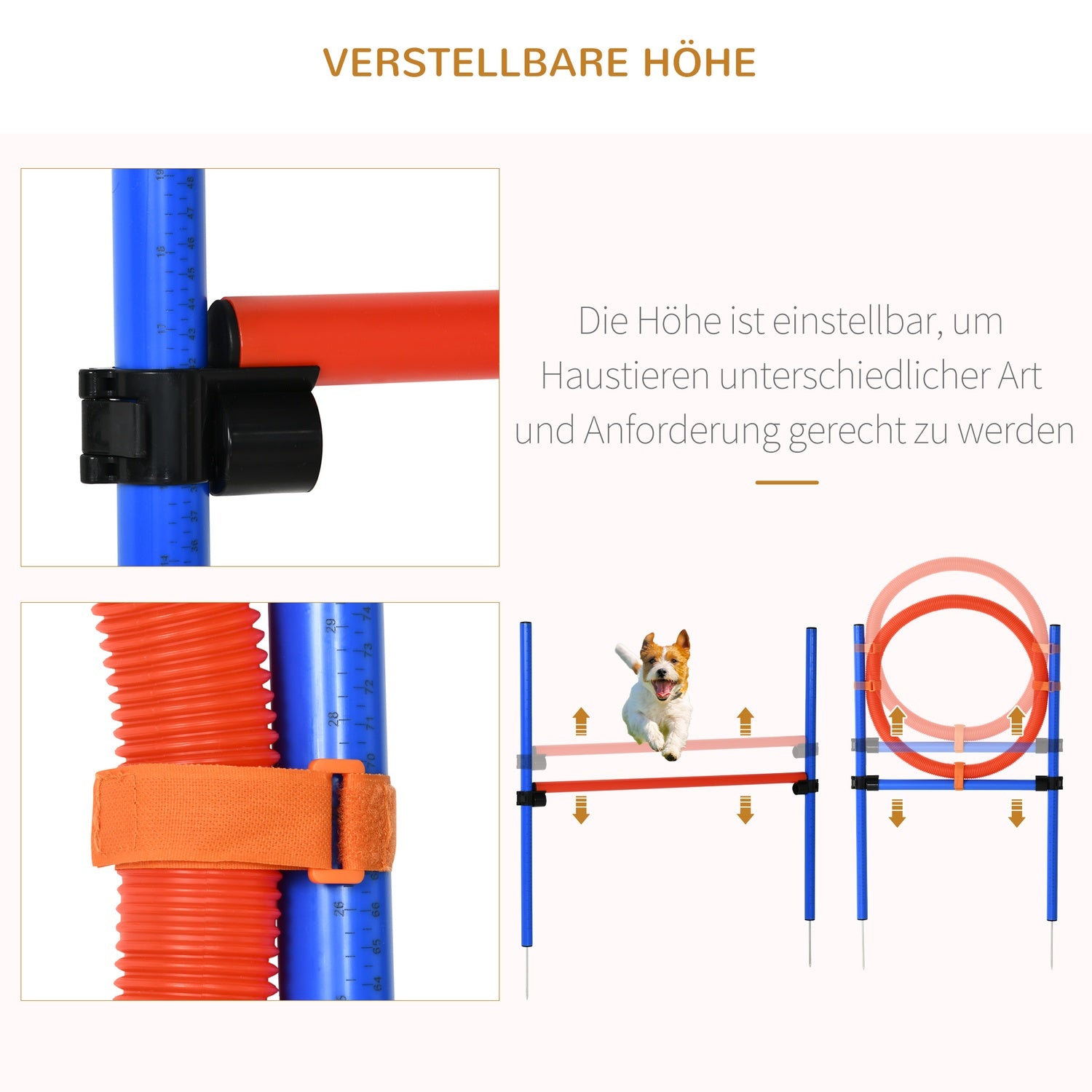 Dog Agility Exercise Set, 3-i-1 träningssats, blå/röd