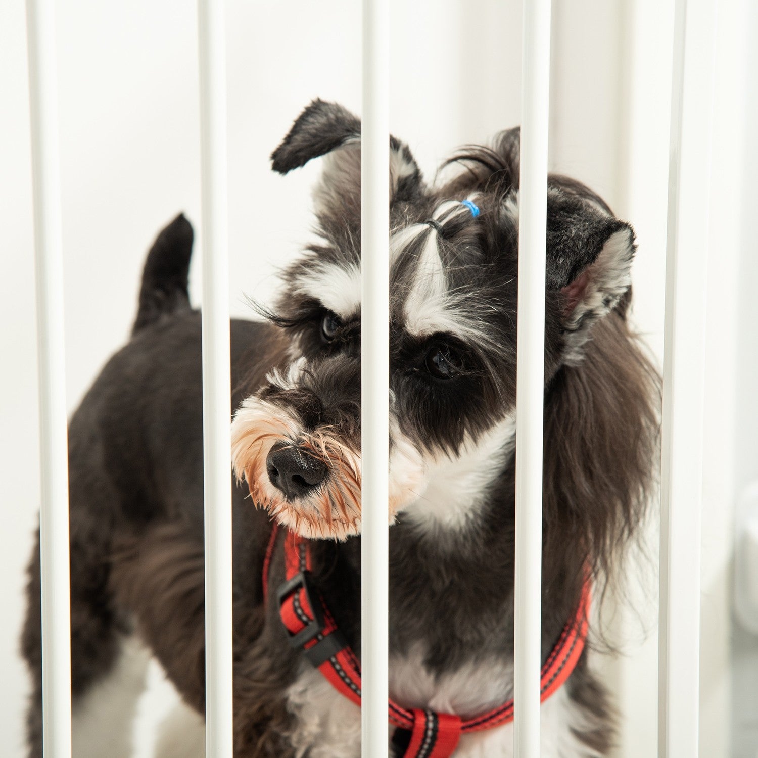 Fällbar hundbarriär med justerbar vinkel och automatisk dörr