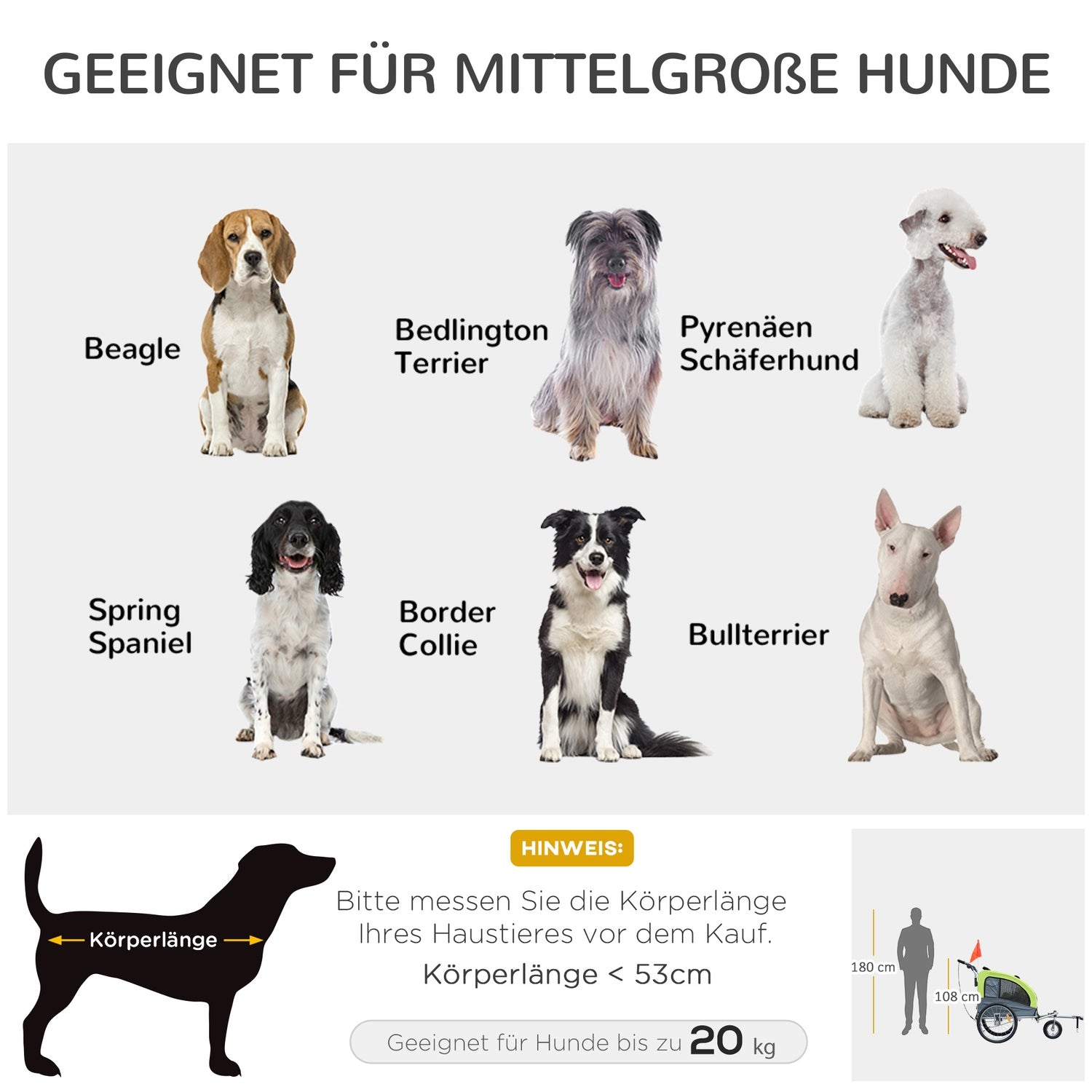 Stor Hundsläp Jogger, Stabil Cykelhållare, Grön/Grå