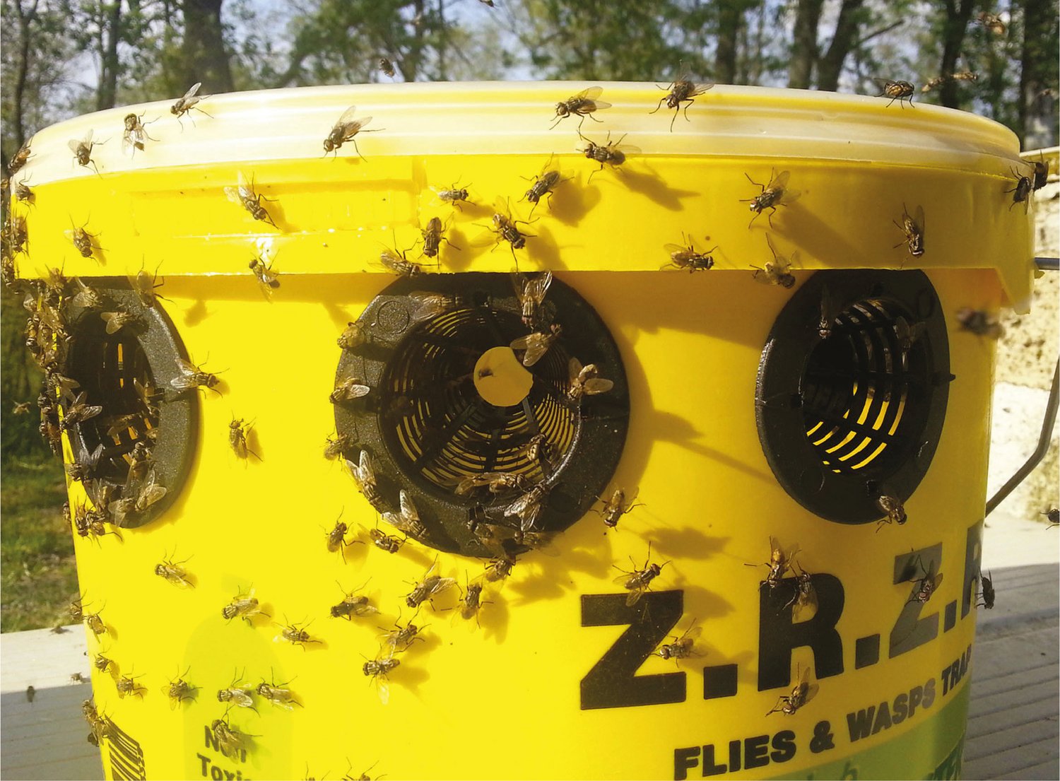 Flybuster Trap 6 l. ekskl. agn