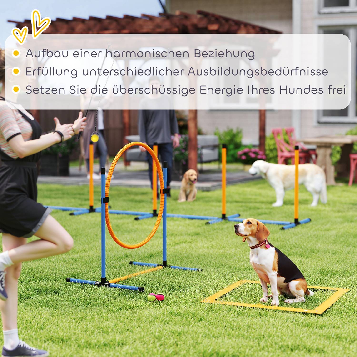Dog Agility Set, justerbara häckar & slalomstavar, 9 delar
