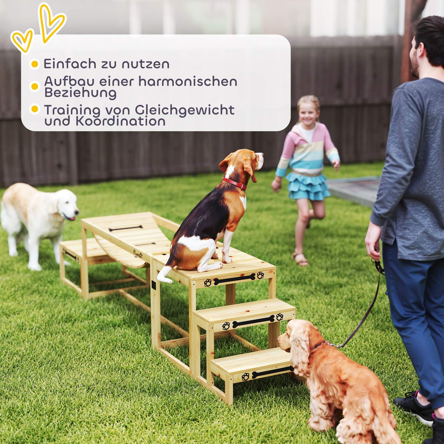 Hund Agility Set för stora hundar – Gran Wood, Set om 4