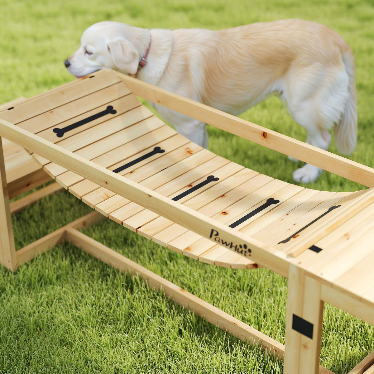 Agility-sett for store hunder – gran, sett med 4