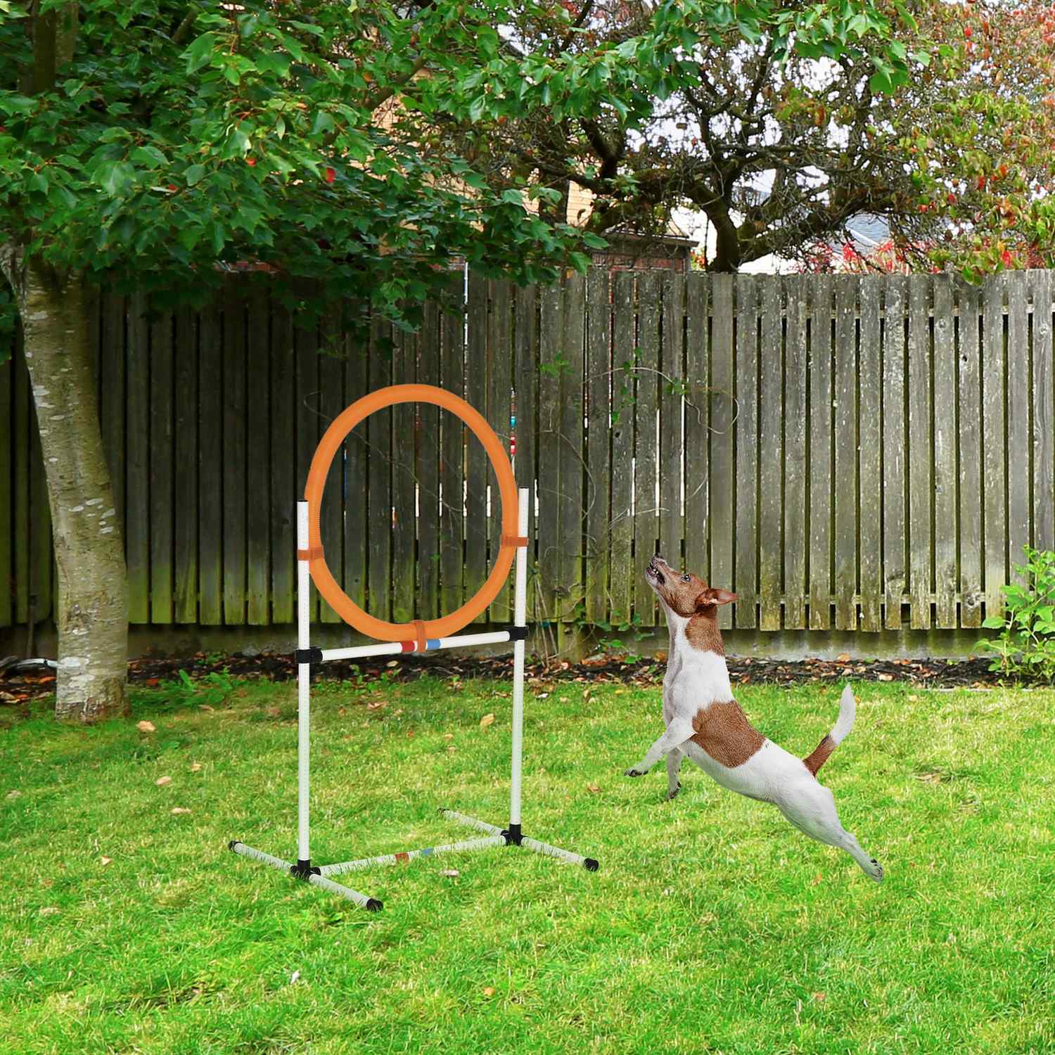 Hund Agility Training Hoppa Ring, Portabel, Vit/Orange