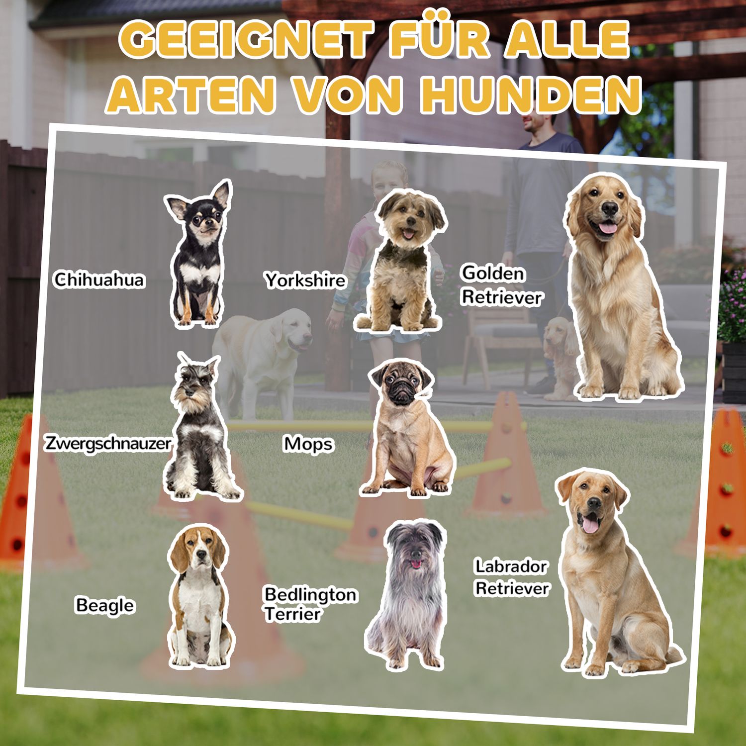 Hund Agility Training Set – 6 justerbara hinder, 12 kottar
