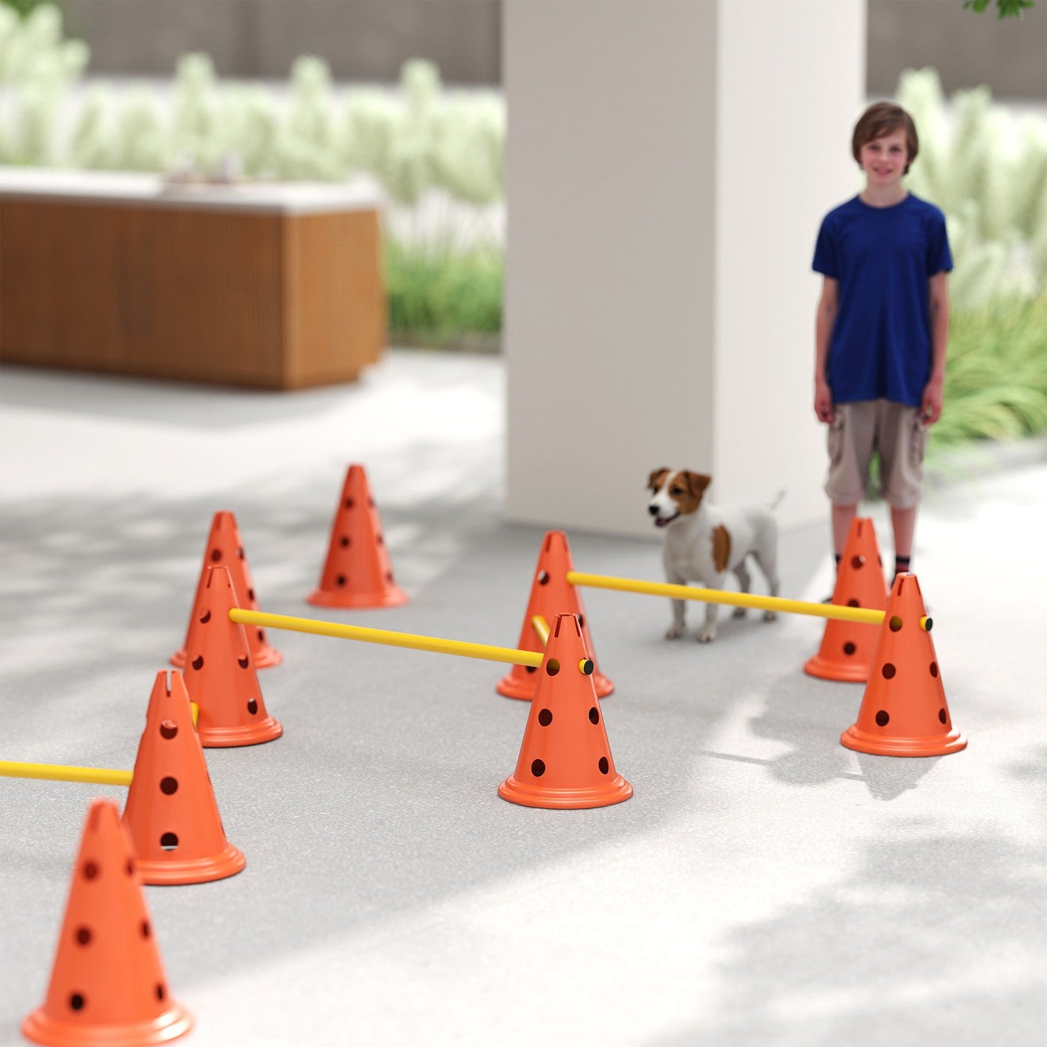 Hund Agility Training Set – 6 justerbara hinder, 12 kottar