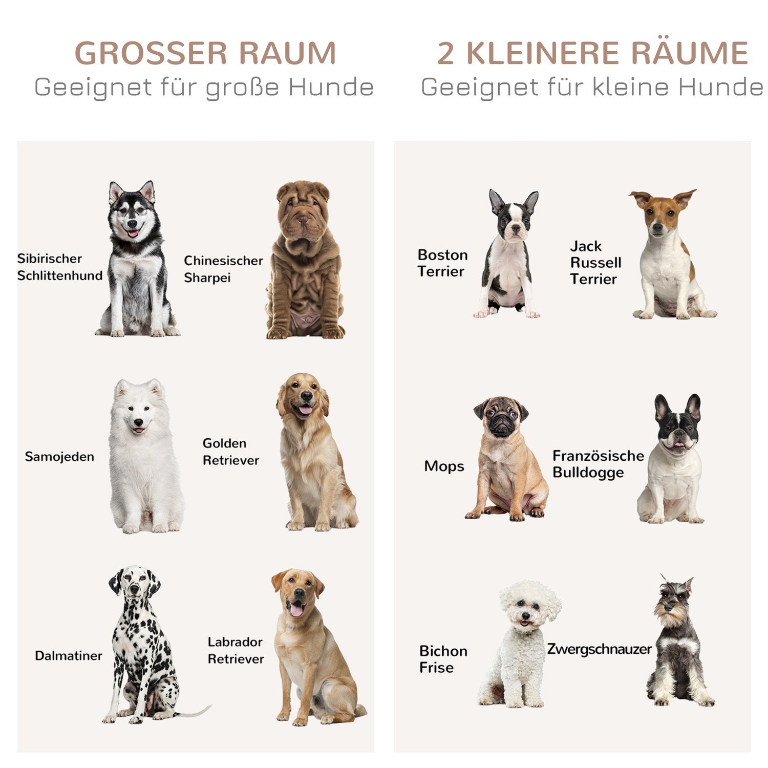 Vit hundbur med dubbla rum och dubbla dörrar, medelstor