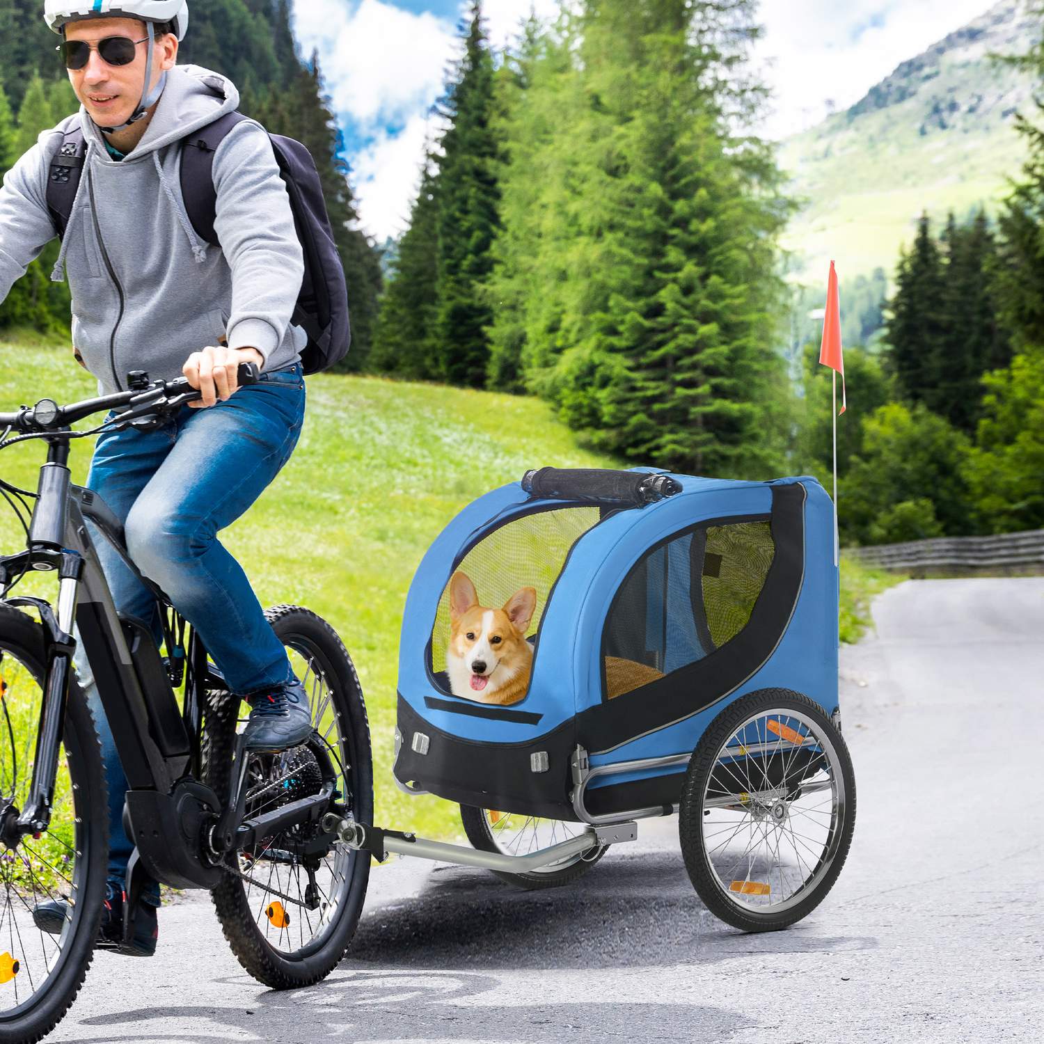 Hundcykelvagn, Blå/Svart, 130x73x90cm Transporter