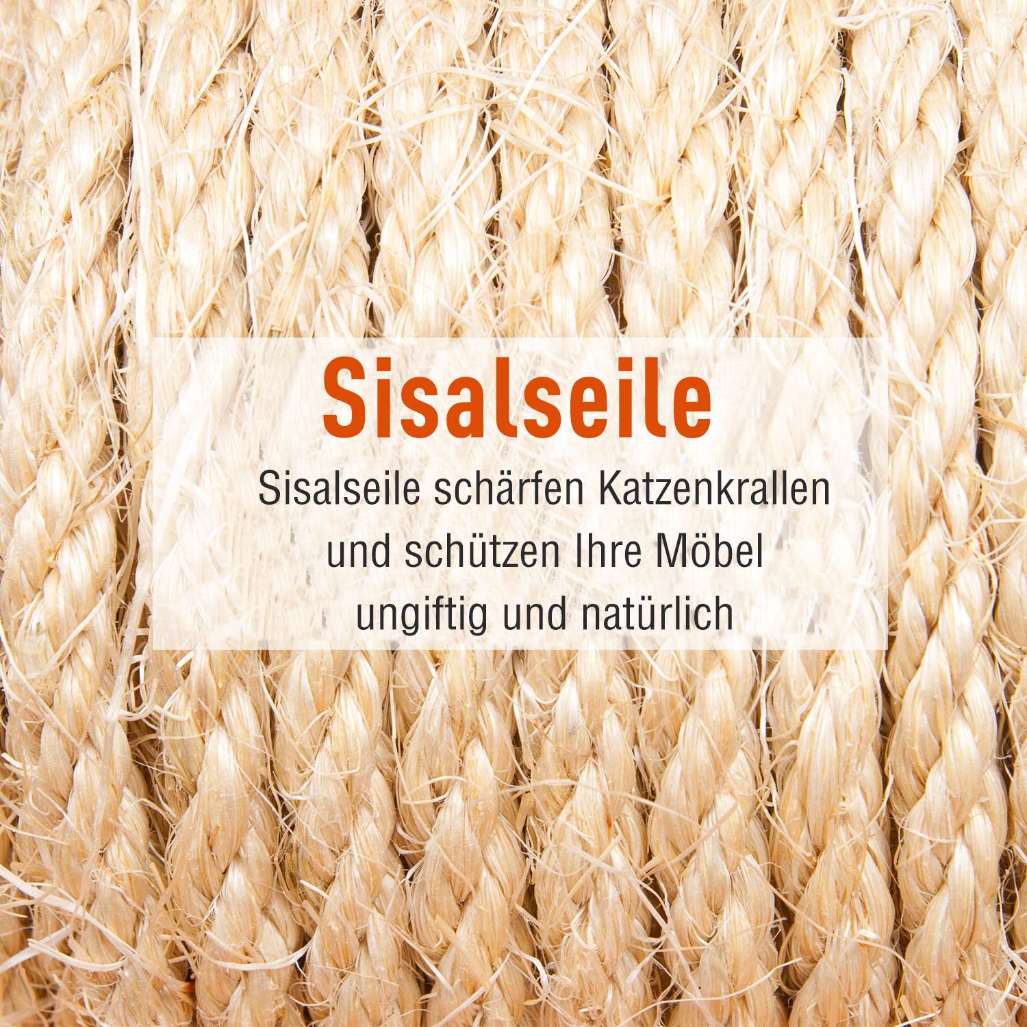 Kattklätterträd på flera nivåer, XXL grå, 50x50x170 cm