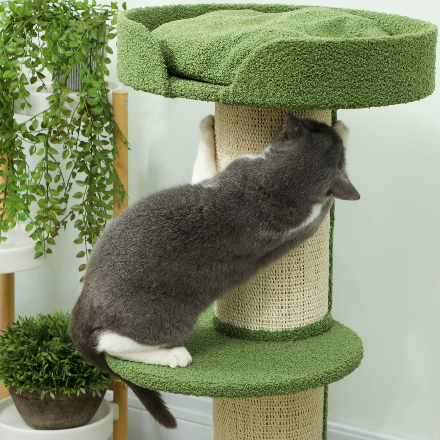 Kattträd 91cm med säng, plattformar, sisalstolpar, grönt