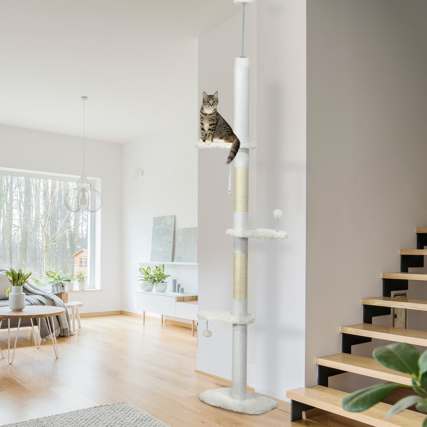 Kattträd med högt i tak med hängmatta och klätterstege