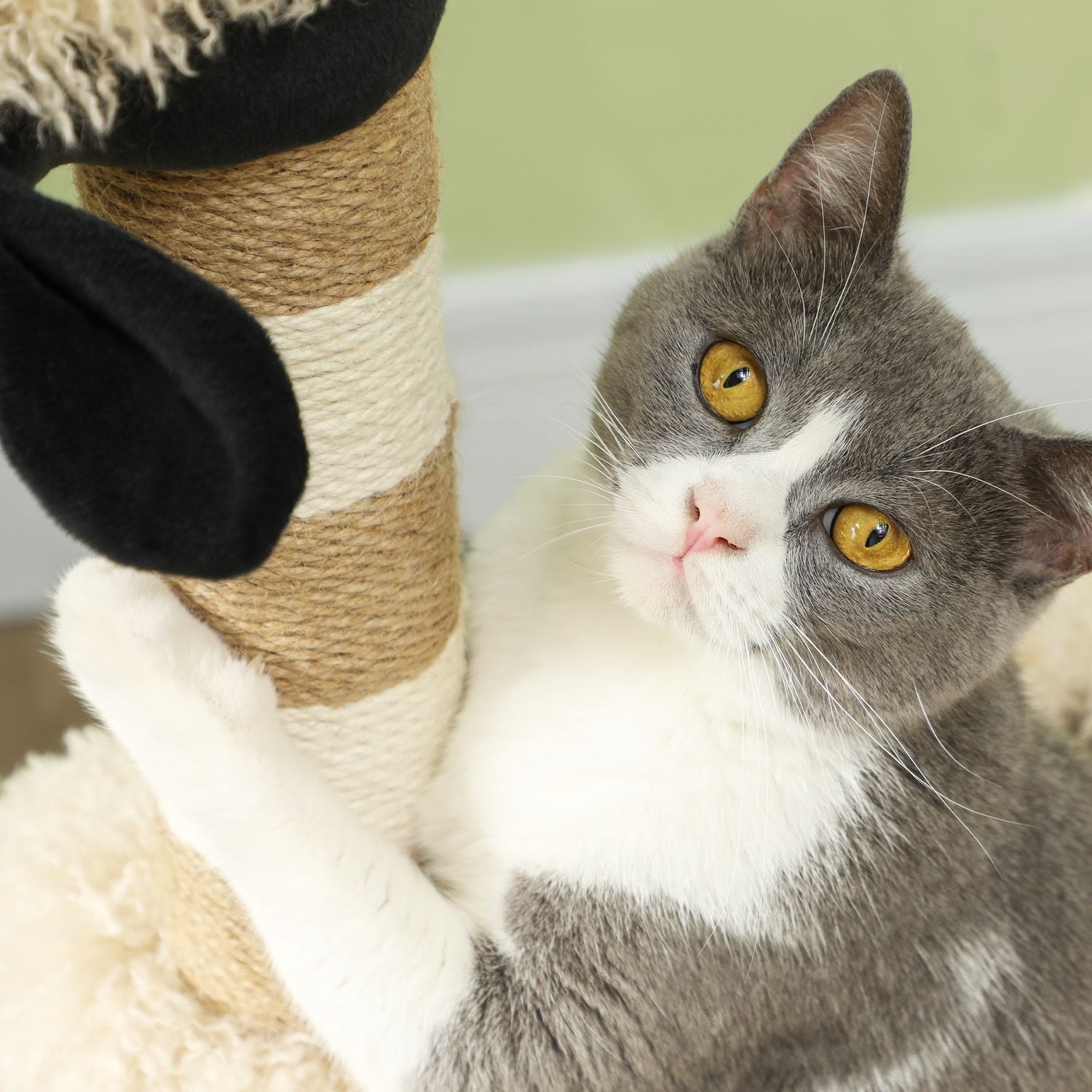 Kattträd med skrapstolpe, tunnel, för katter upp till 5 kg