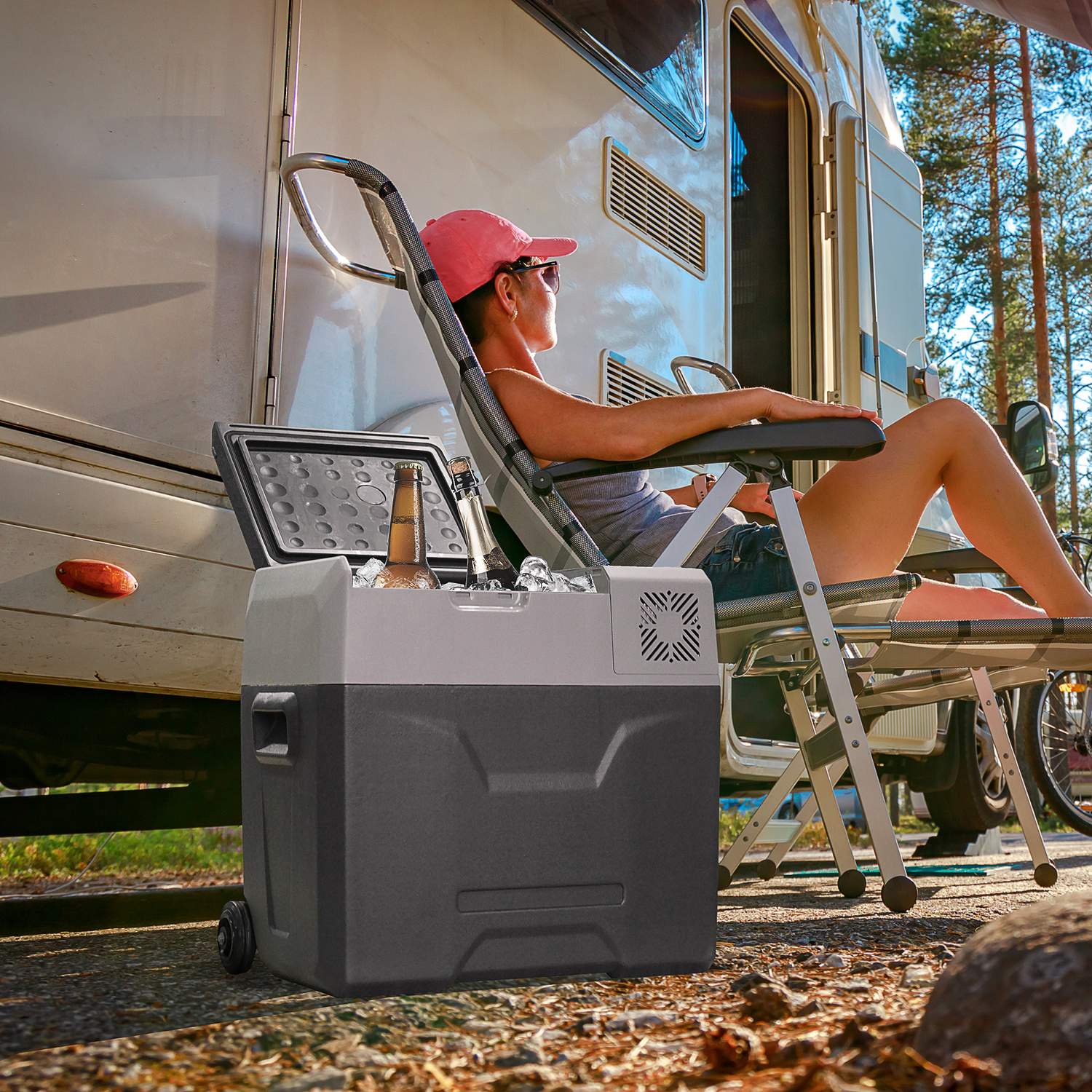 50L Elektrisk kylbox Bilkylskåp, Dual Voltage, Grå