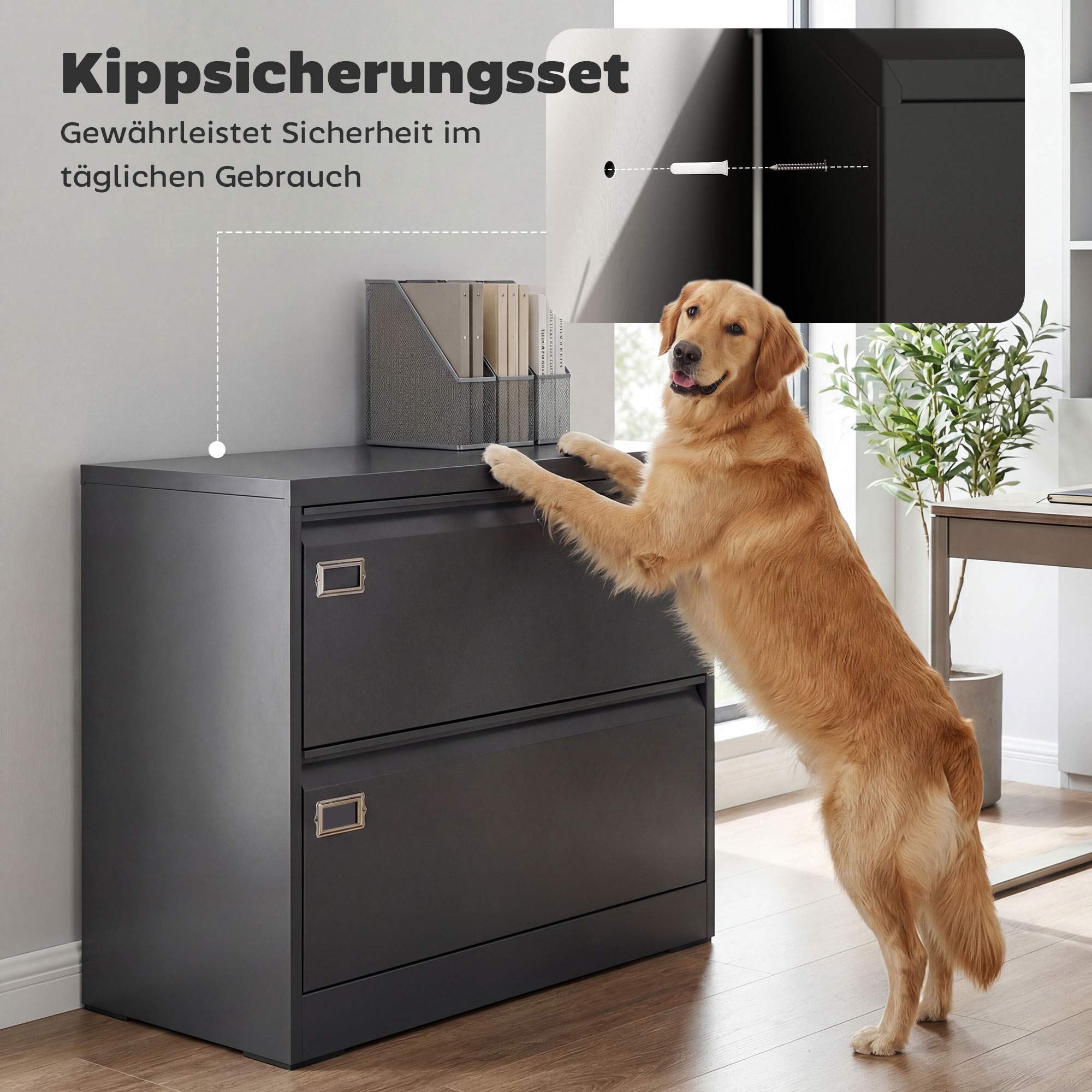 Låsbart arkivskåp med 2 lådor, justerbara skenor, svart