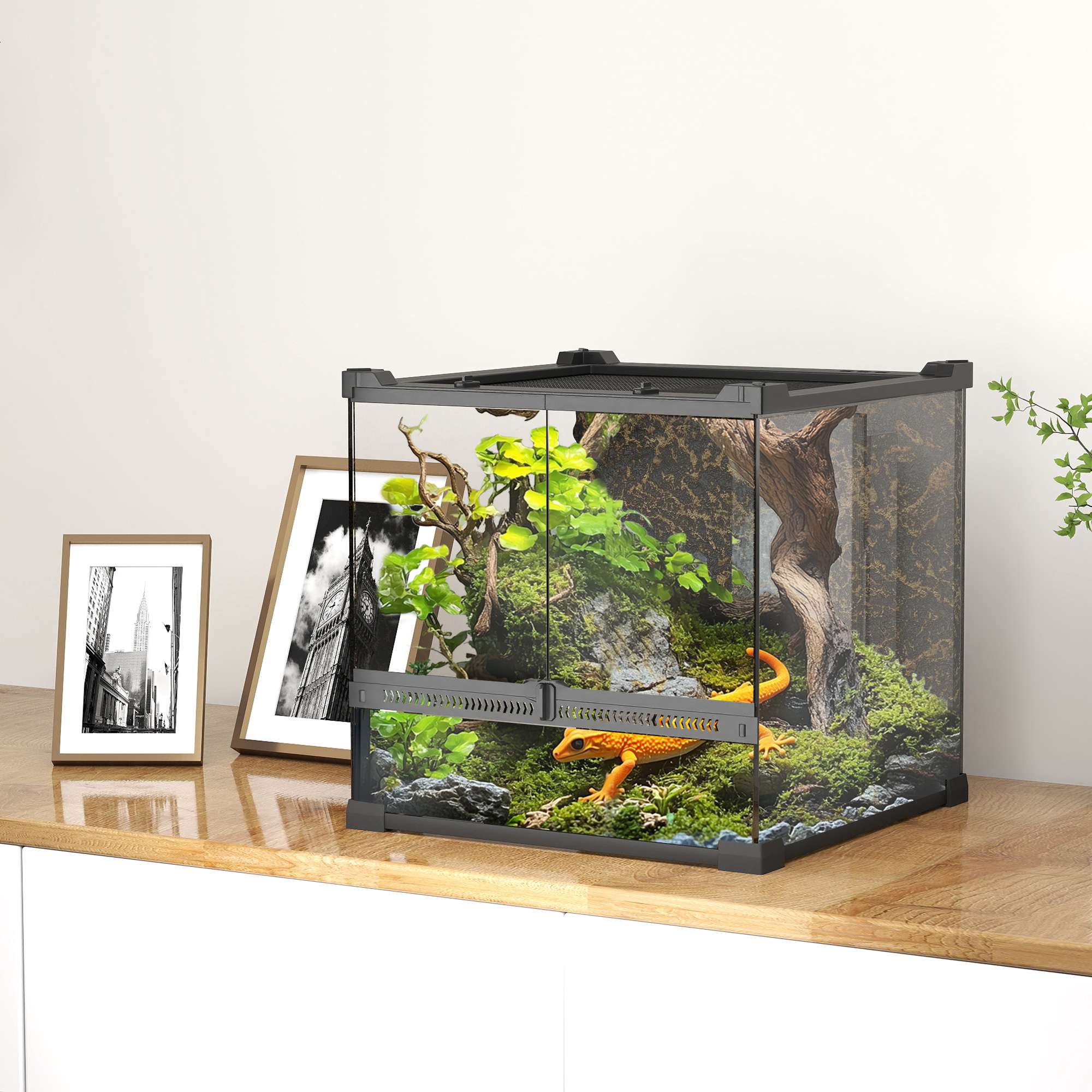 Reptilterrarium i glas, vattentät bas, säkert lås