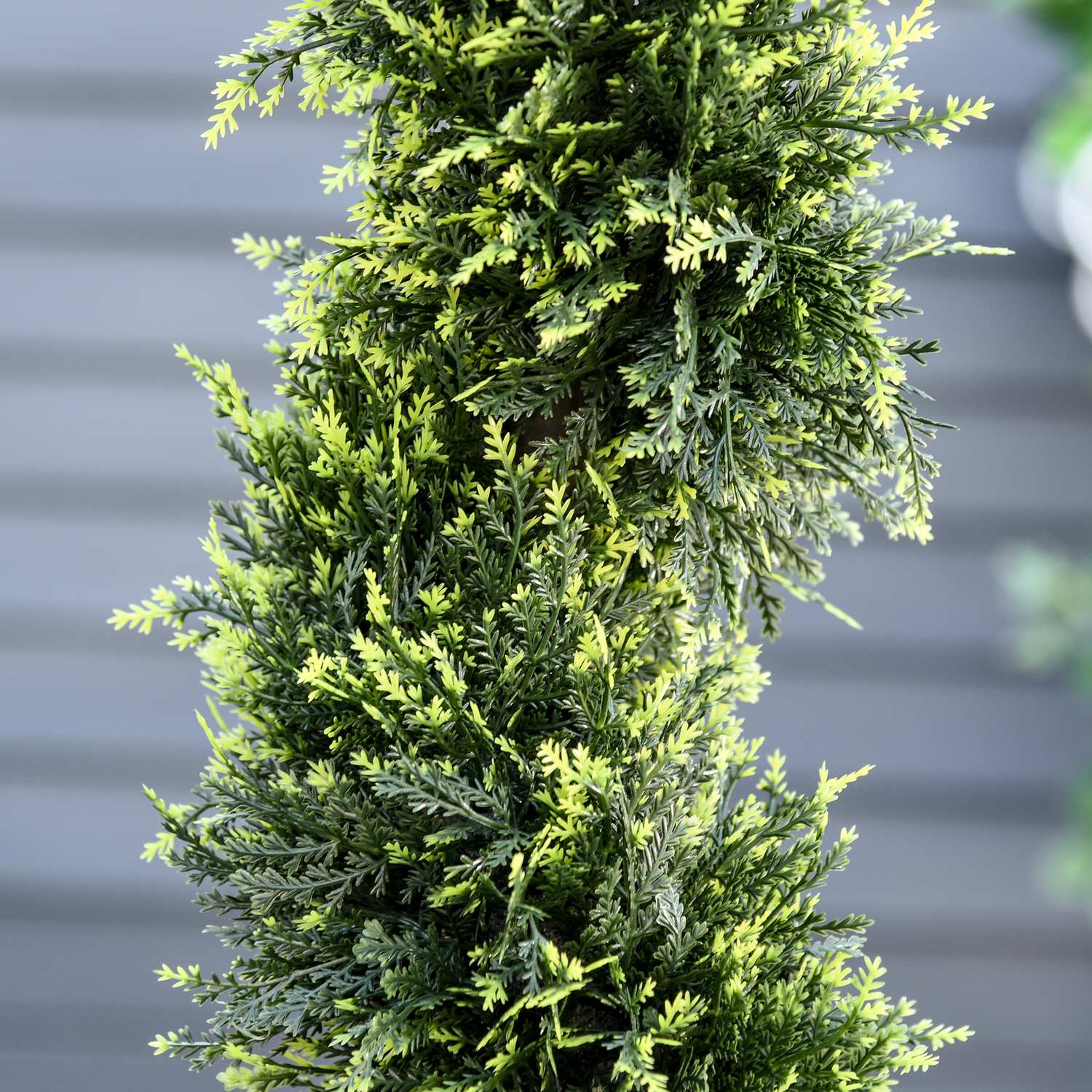 Stor 90 cm spiral cederplanta i kruka – inomhus/utomhusdekor