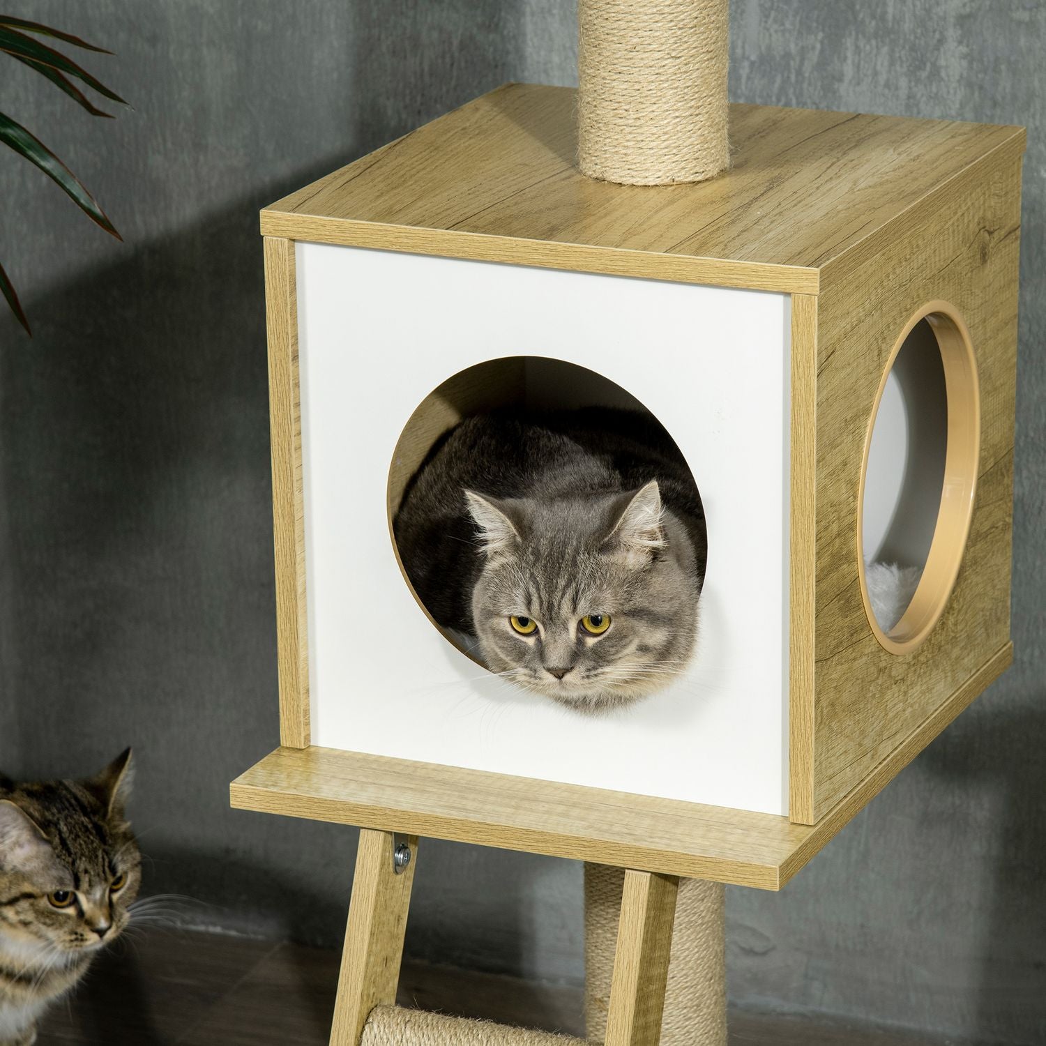 Kattskrapstolpe med högt i tak med hus och hängmatta