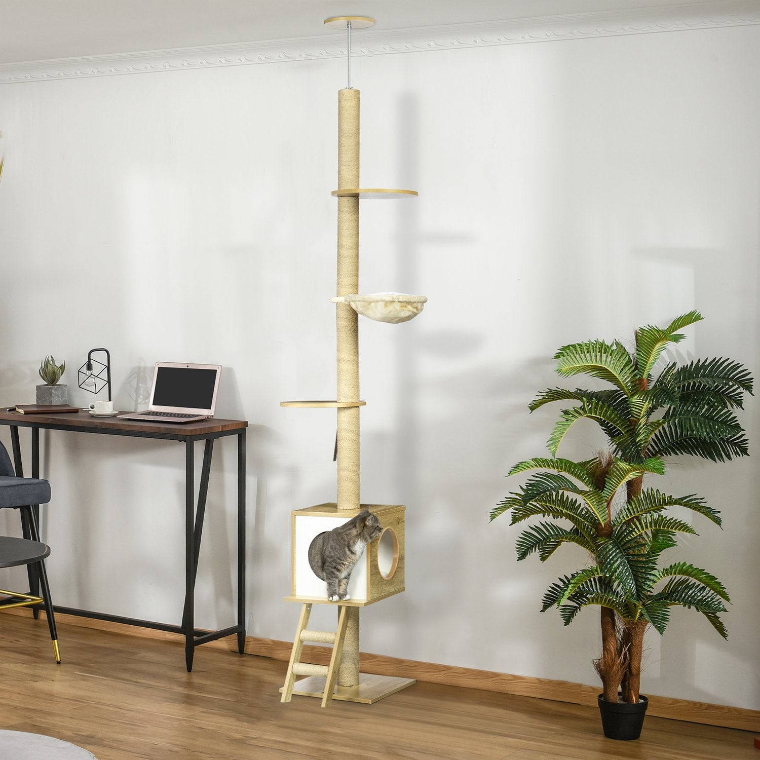 Kattskrapstolpe med högt i tak med hus och hängmatta