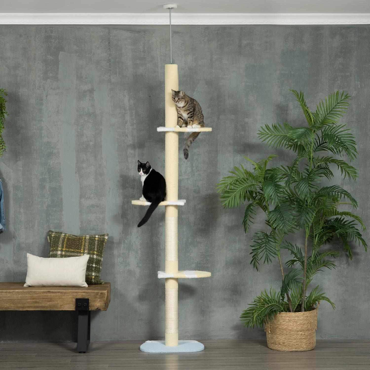 Justerbar kattskrapstolpe med lekboll, 220-260 cm