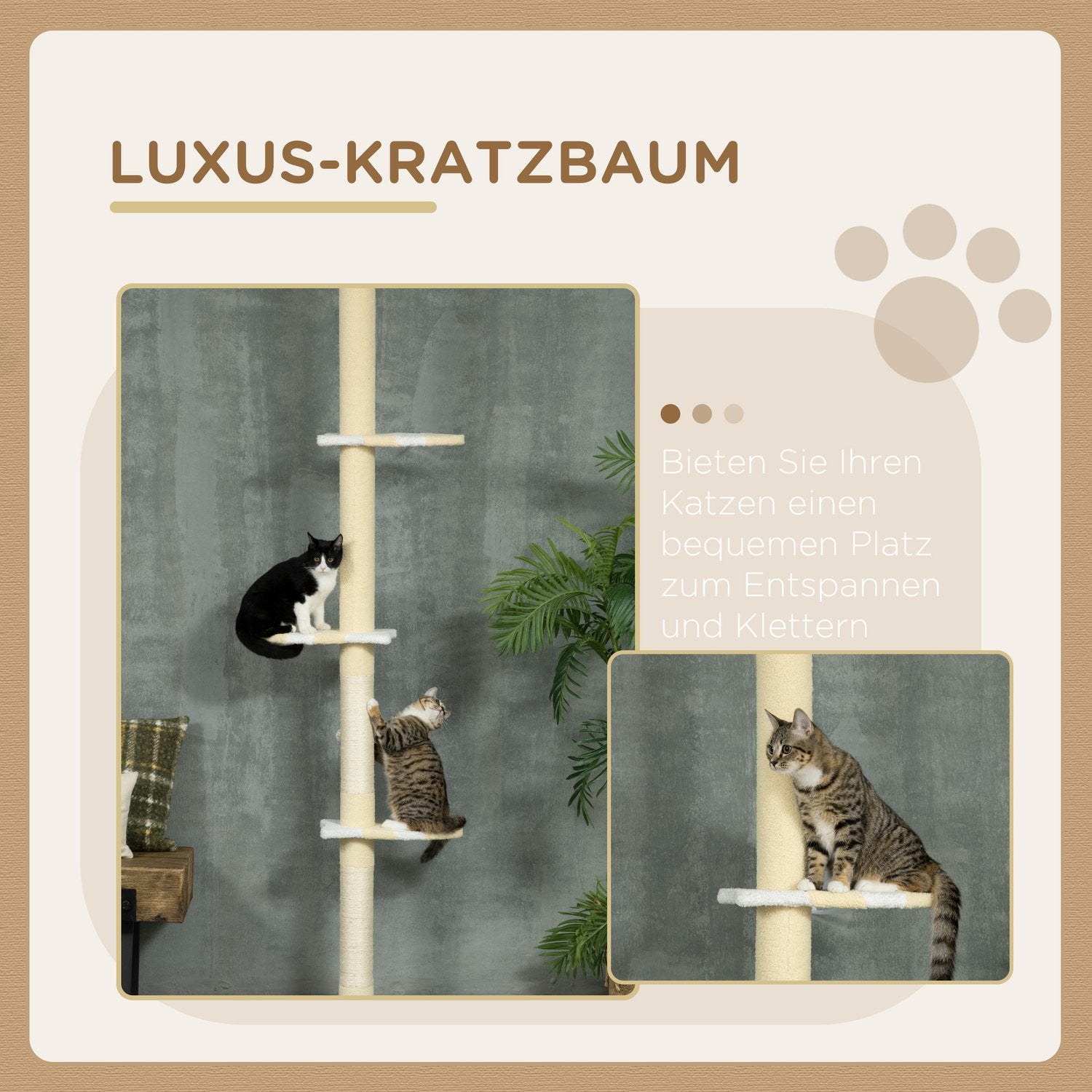 Justerbar kattskrapstolpe med lekboll, 220-260 cm