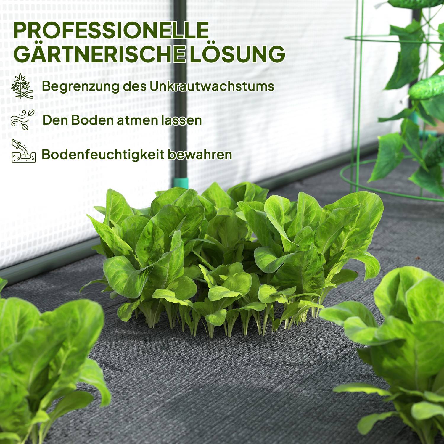 Stålväxthus med UV-skydd, 300x80x157cm, Vit