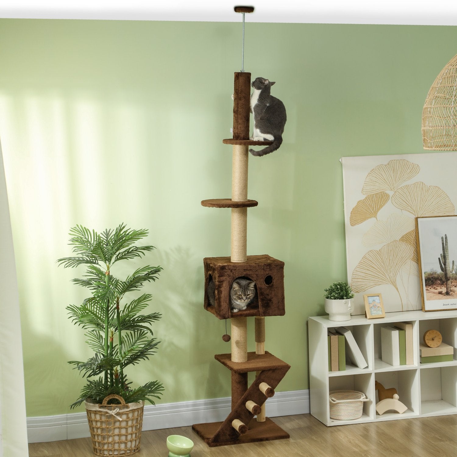 Takhögt kattträd med grotta & lekboll 225-265cm