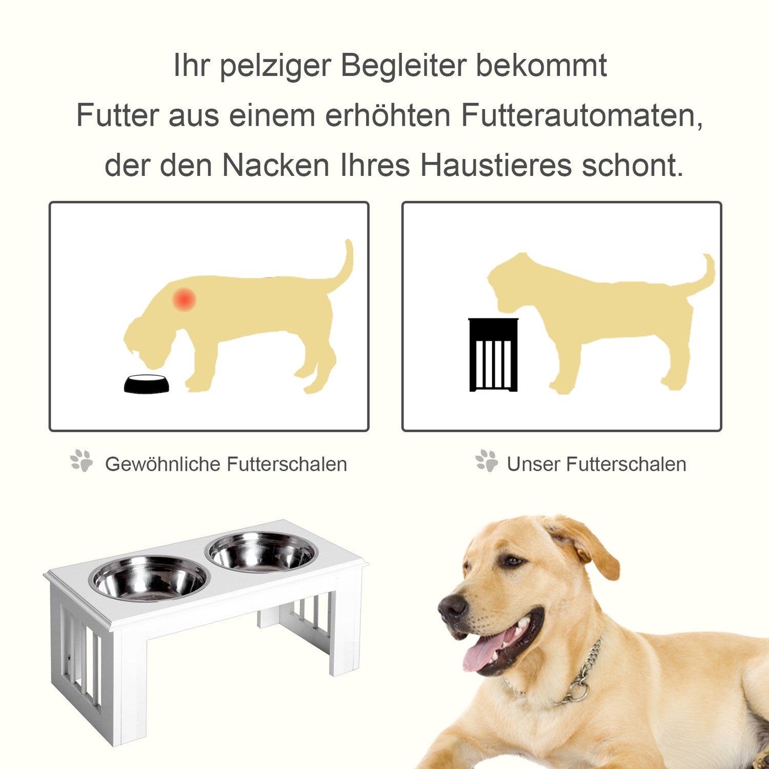 Upphöjd hundmatskål med rostfritt stål, lättskött, vit