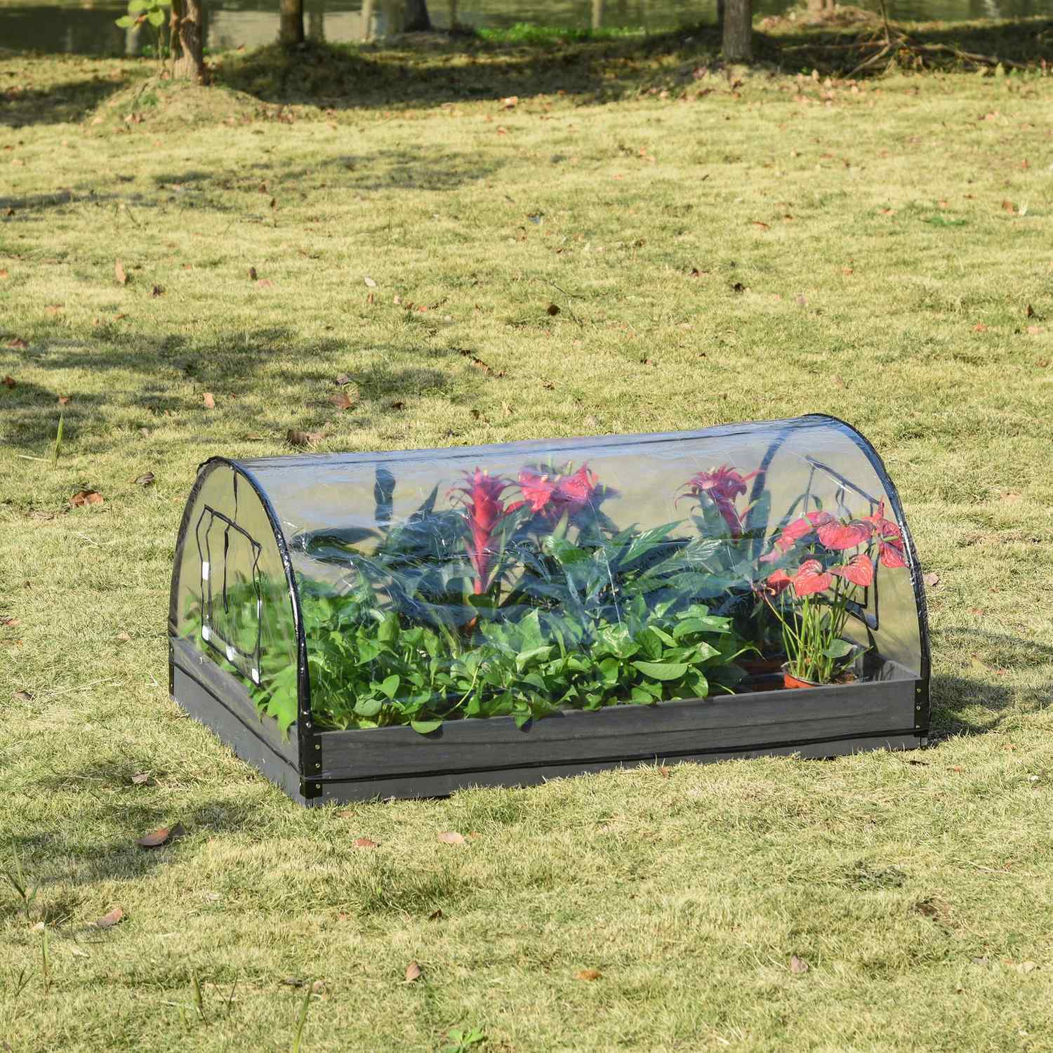 Transparent växthus, PVC och stål, 12 galler, 120x79x53cm