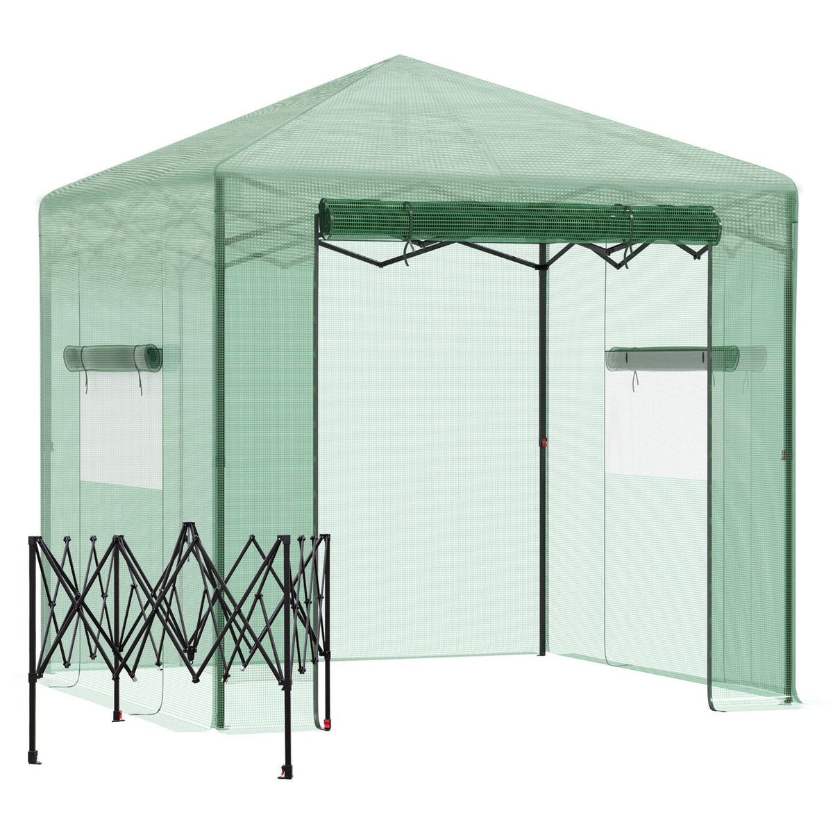 Växthus för växter, Roll-Up Dörr & Fönster, 238x178x240cm