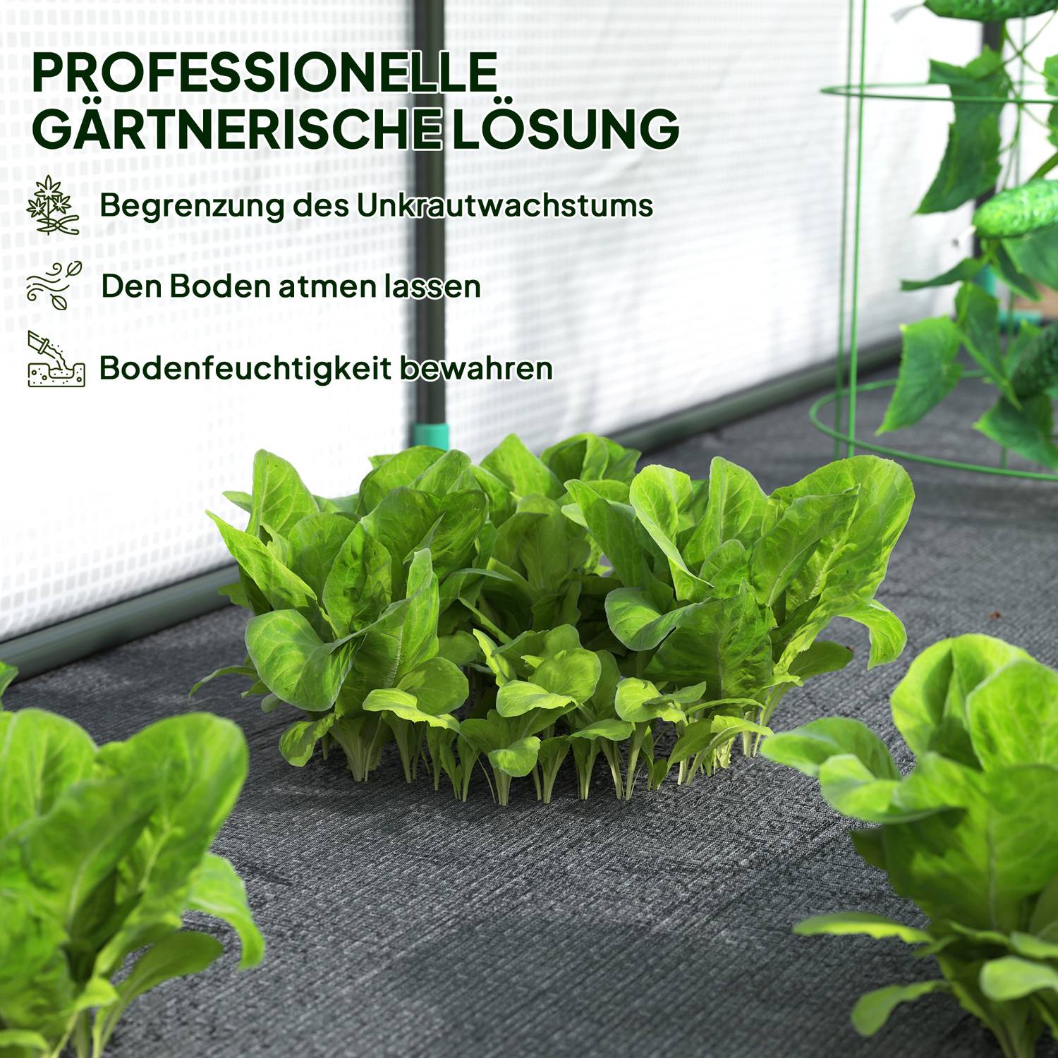 Växthus med rulldörr, UV-skyddad stålram, 200x80x157cm