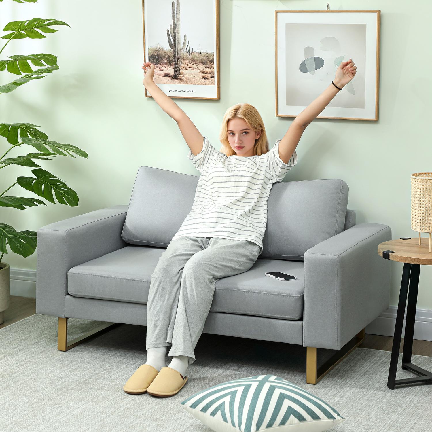 2-sits soffa, soffa med massiv träram, metallben, enkel design, ljusgrå