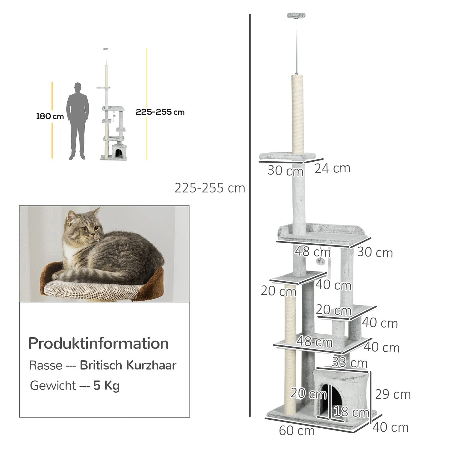 Skrapstolpe I Tak Högt Kattträd Med Lekboll, Kattgrotta, Trappor, 225-255 Cm, Ljusgrå