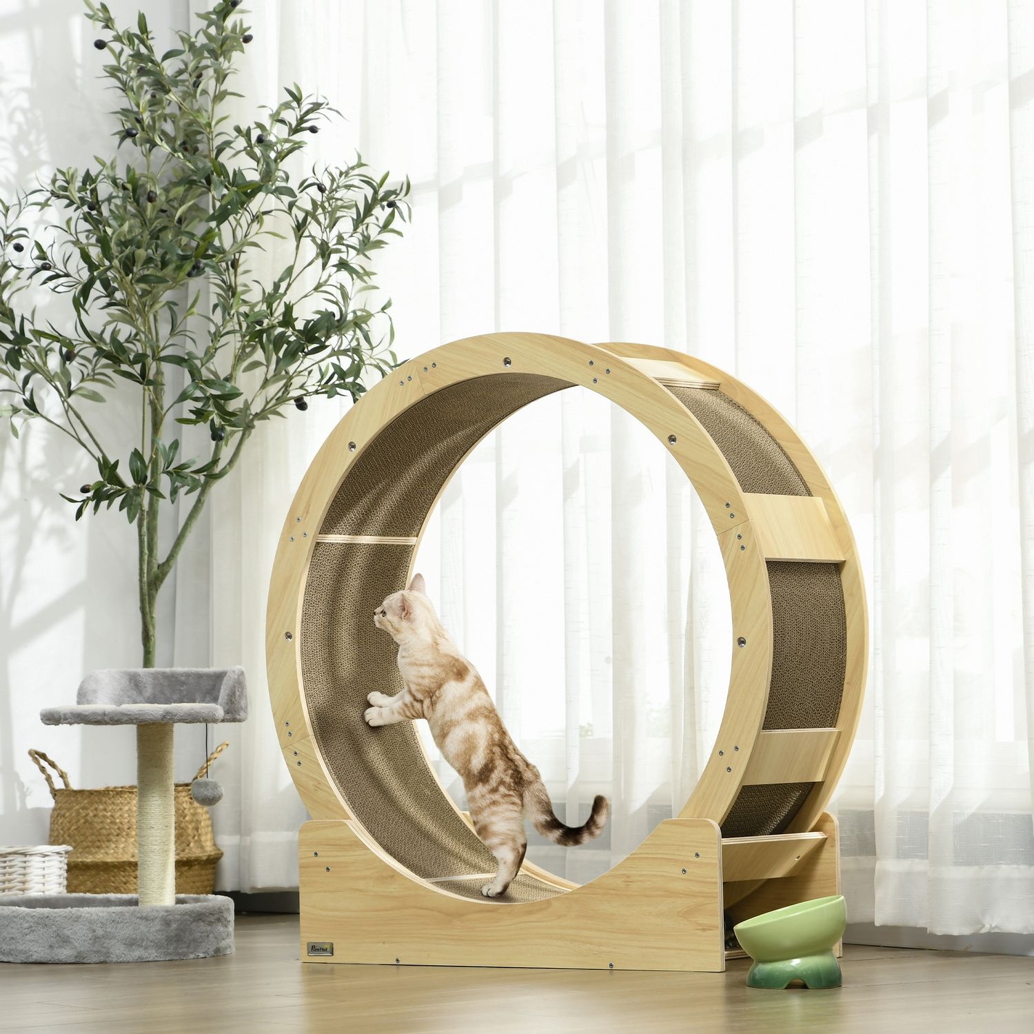 Cat Balance Bike 91 cm med broms & skrapbräda