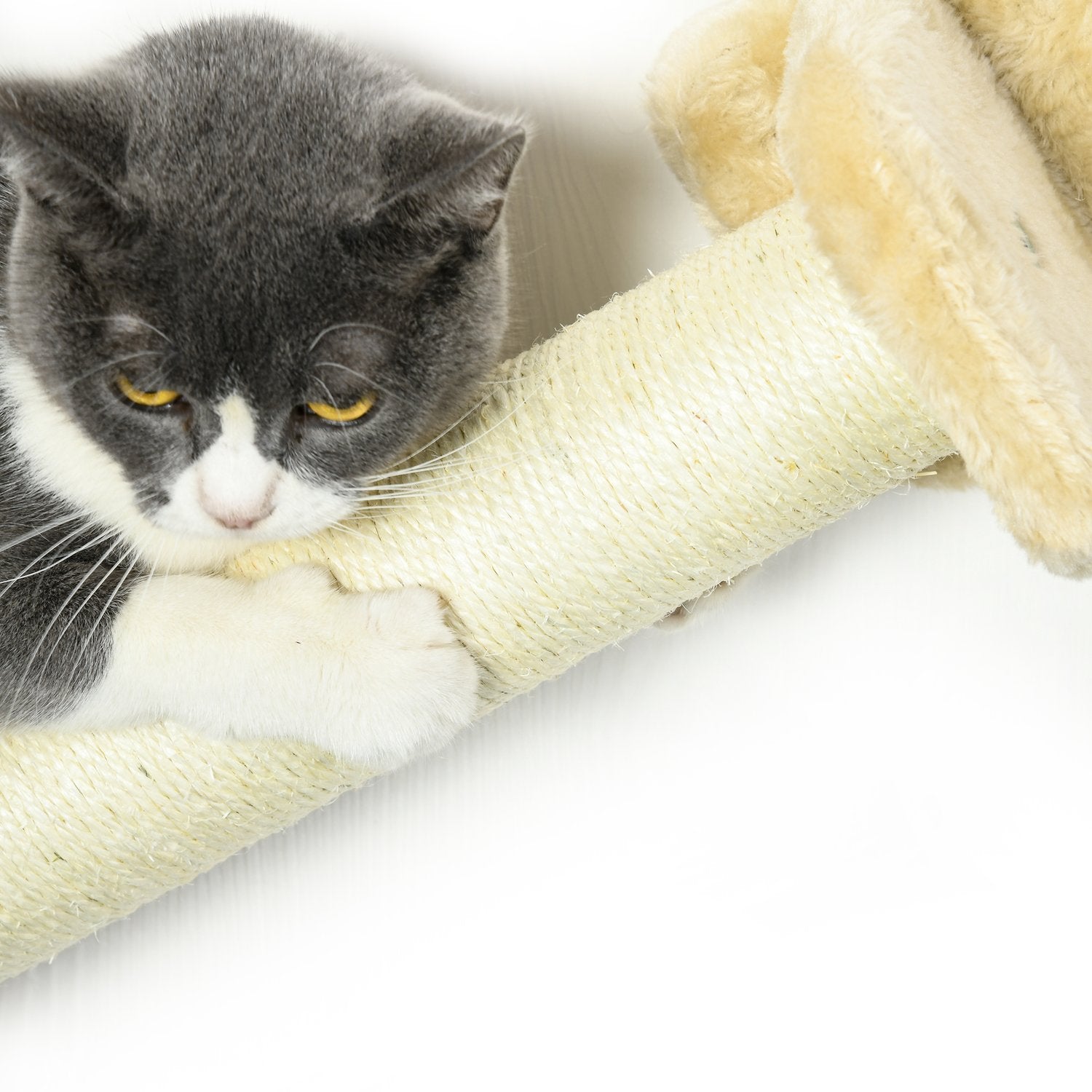 Cat klätterväggsset med trappor, skrapstolpar och hängmatta