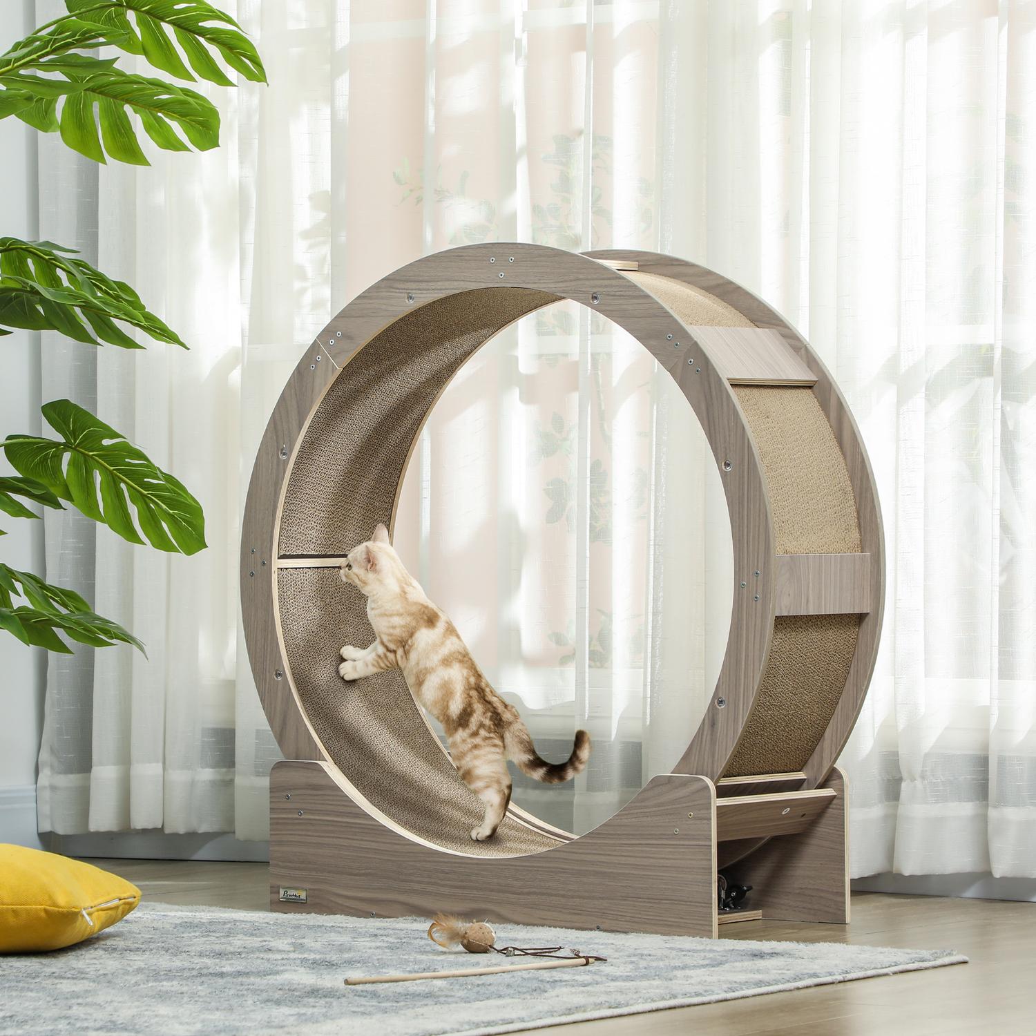 Cat träningshjul med broms och skrapbräda
